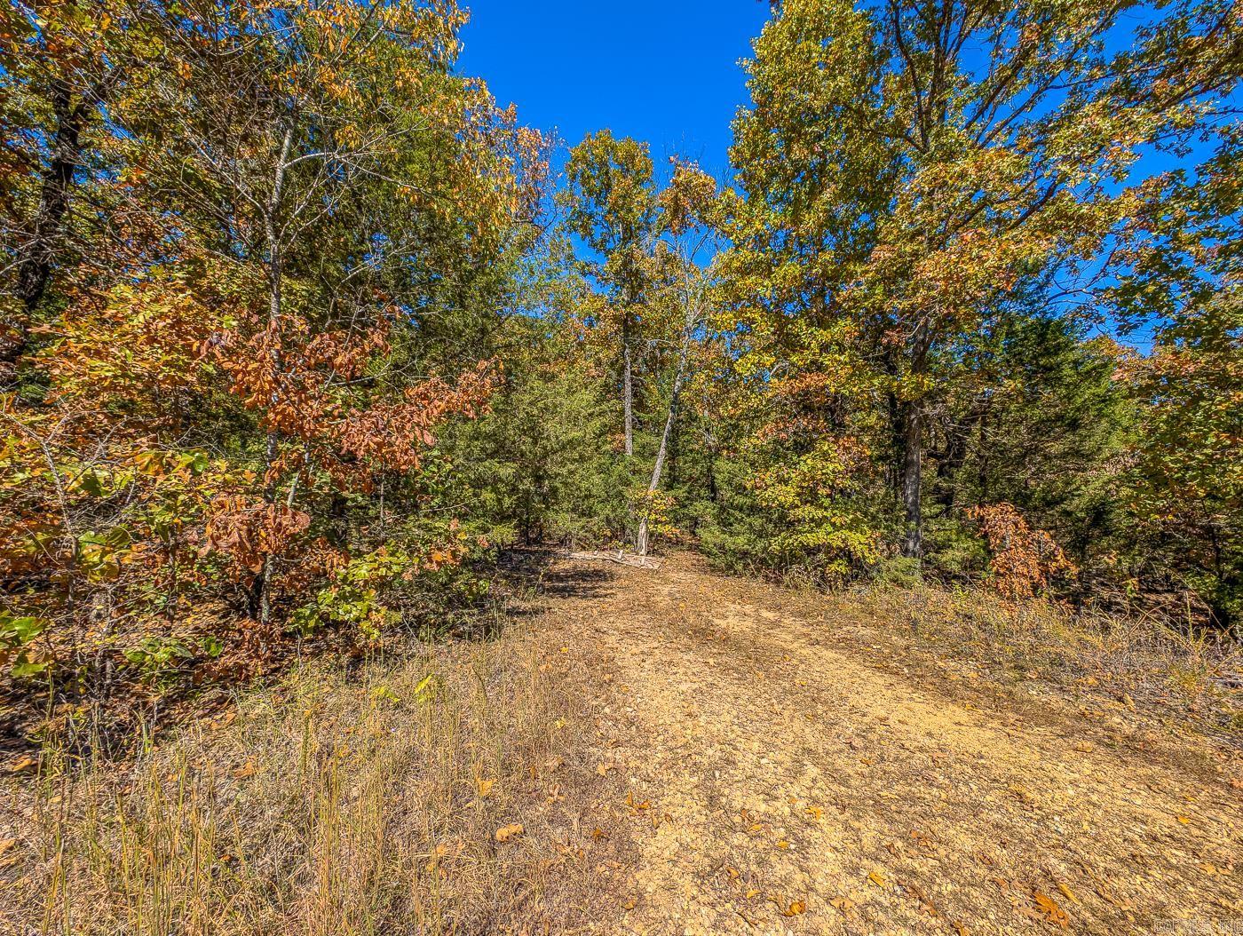 40 Acres  MC #113  Oakland, AR