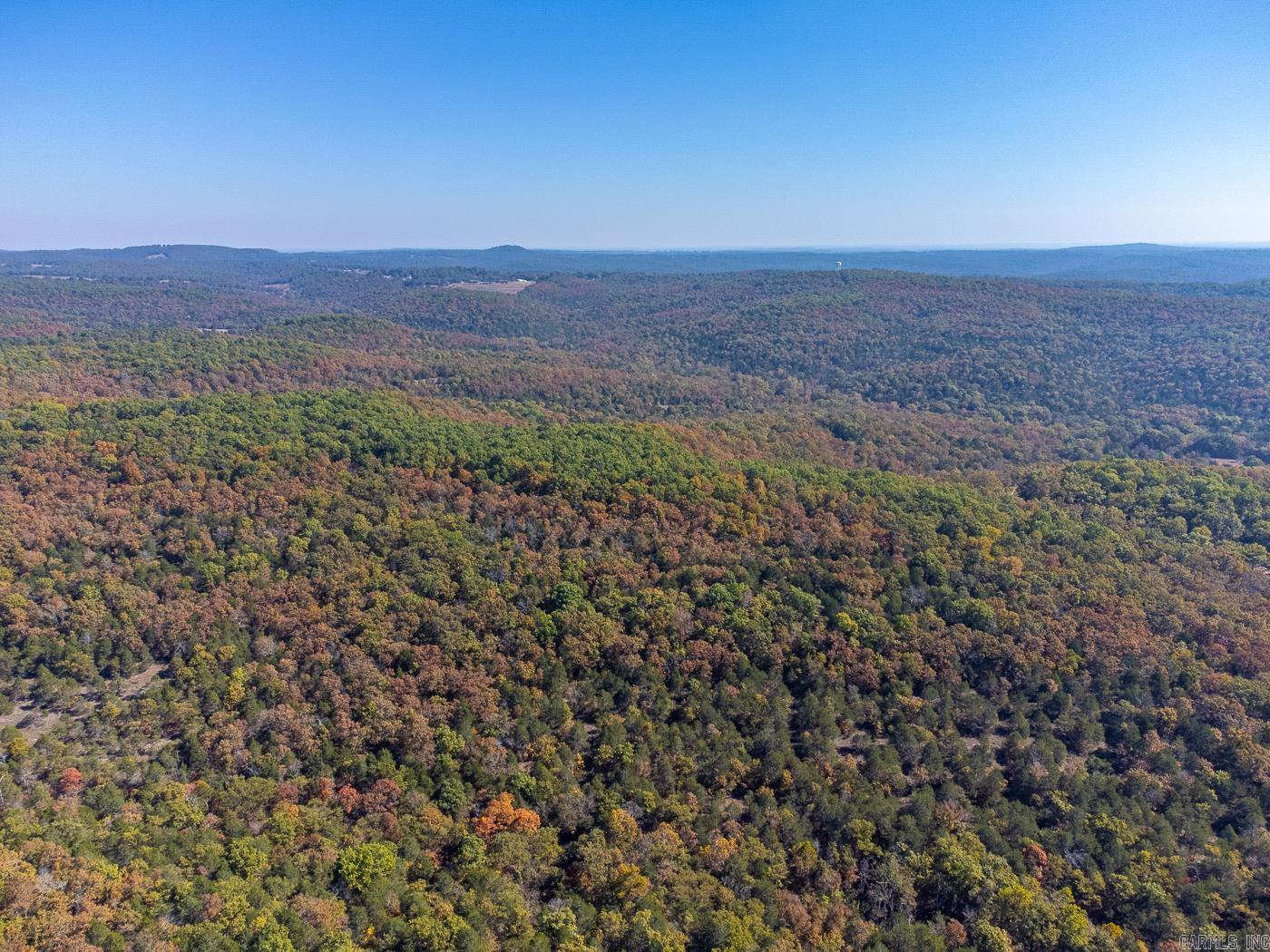 40 Acres  MC #113  Oakland, AR