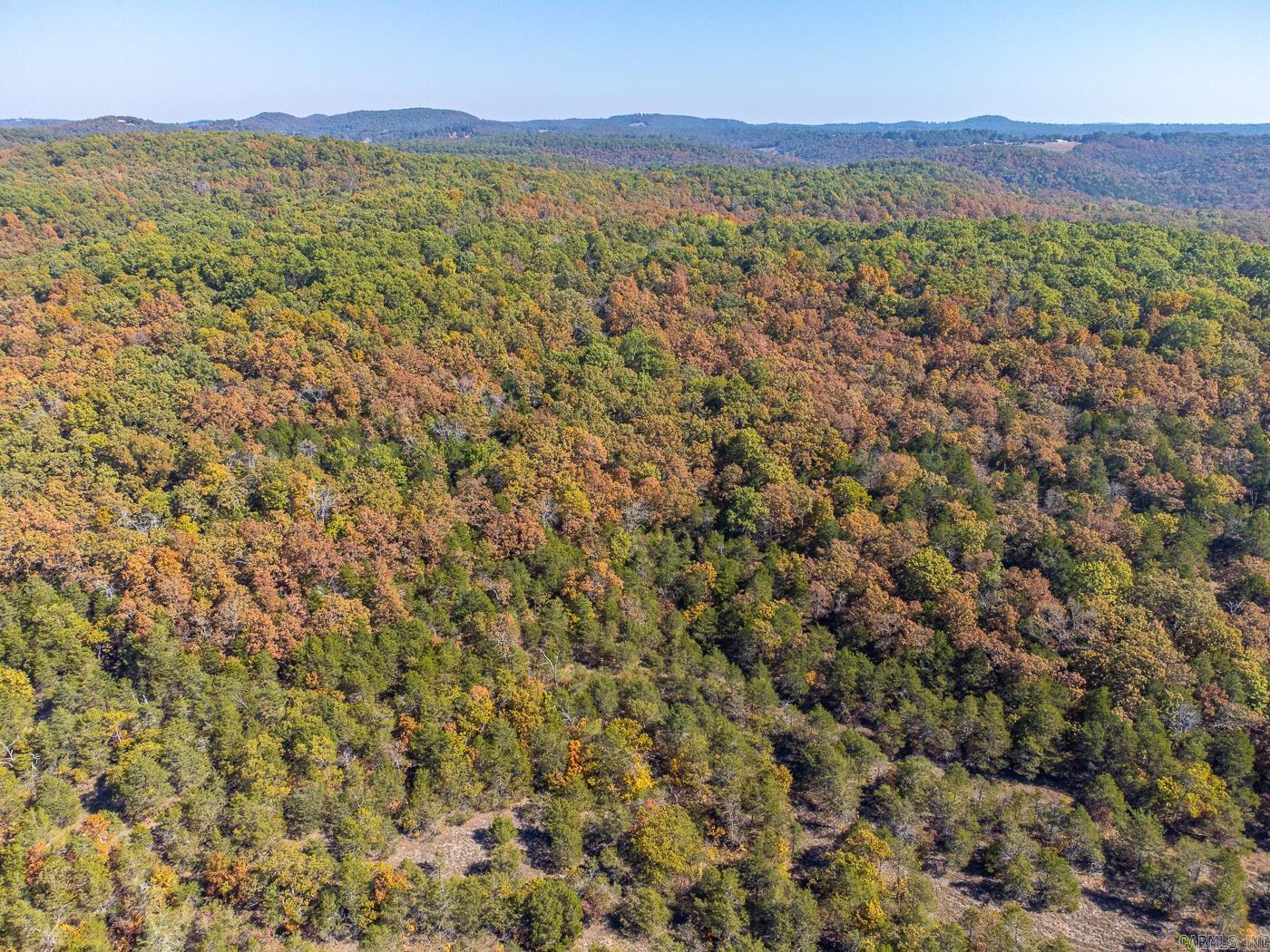 40 Acres  MC #113  Oakland, AR