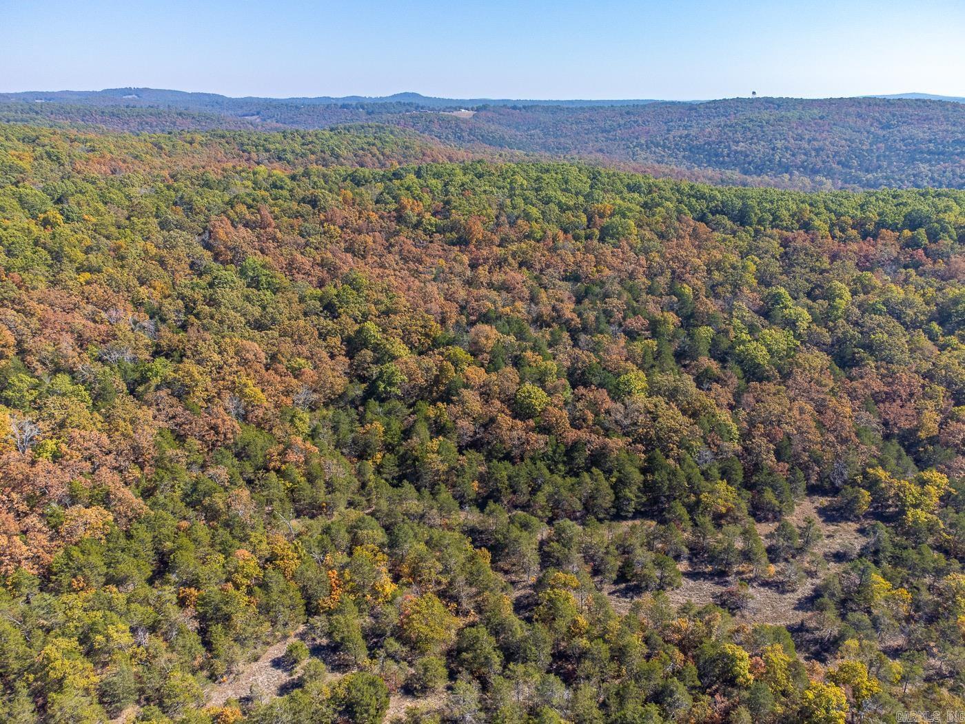 40 Acres  MC #113  Oakland, AR