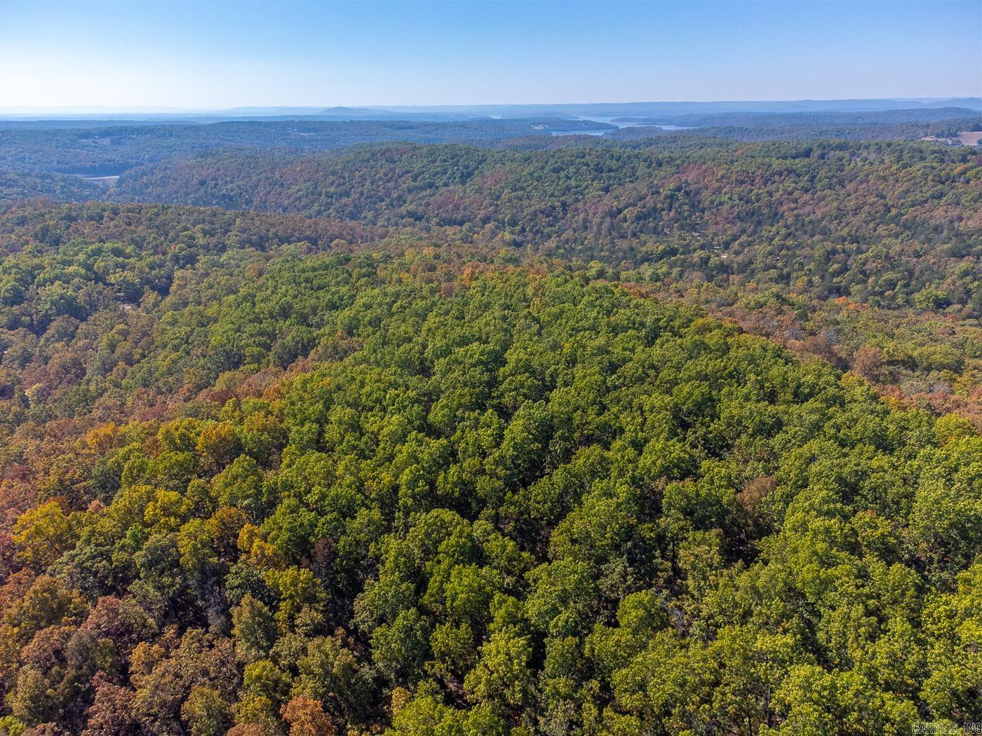 40 Acres  MC #113  Oakland, AR