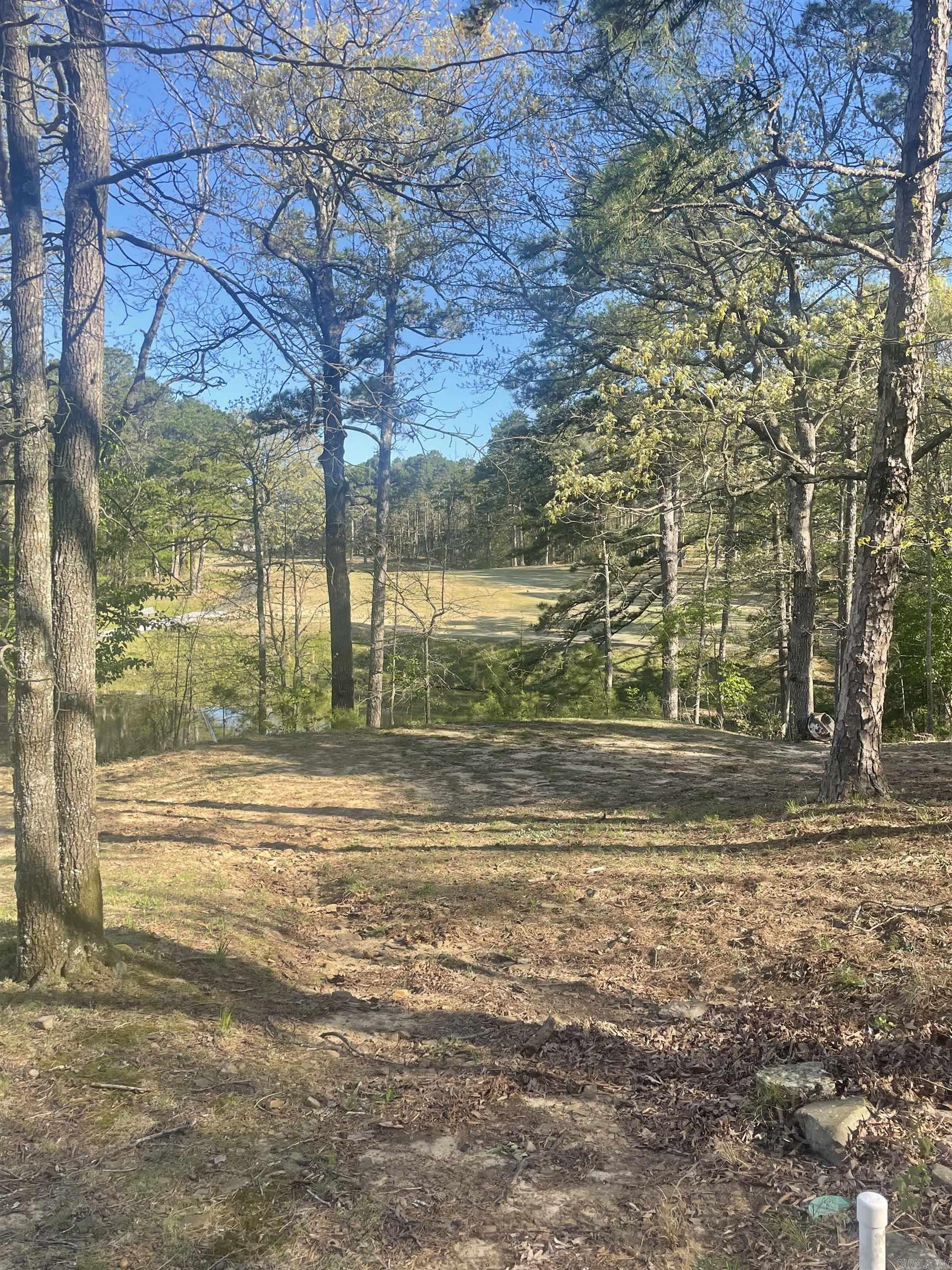 332  Snead  Fairfield Bay, AR