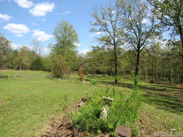 104  Sunshine Farms Road  Bigelow, AR
