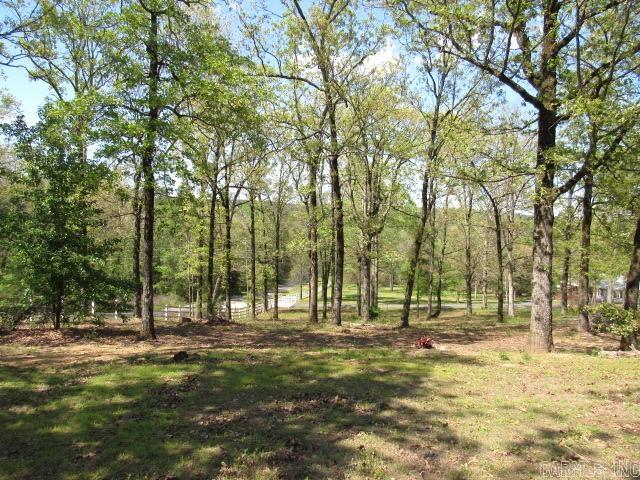 104  Sunshine Farms Road  Bigelow, AR