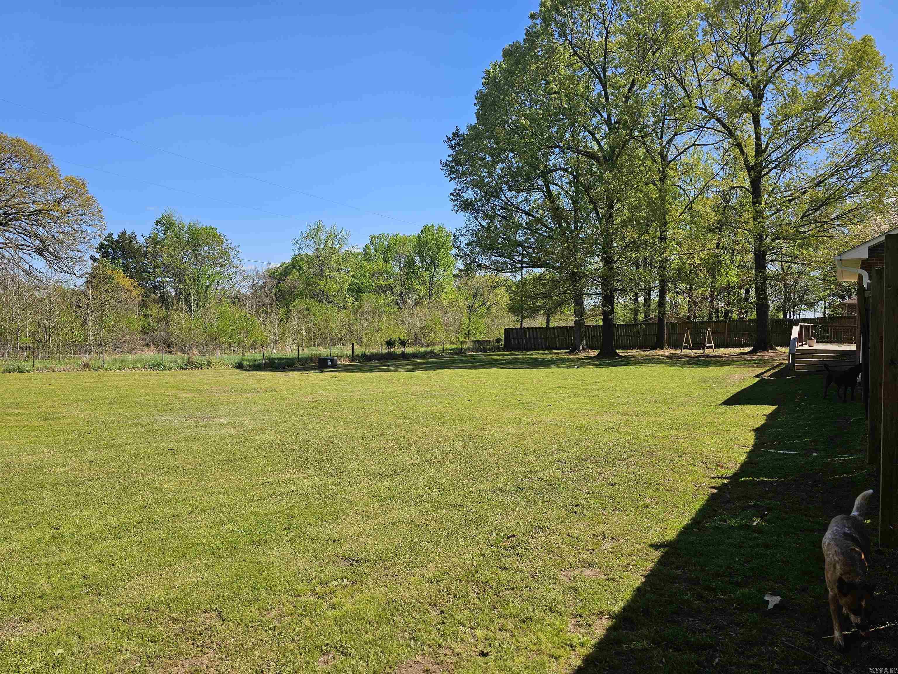 20  Mockingbird  Clarksville, AR
