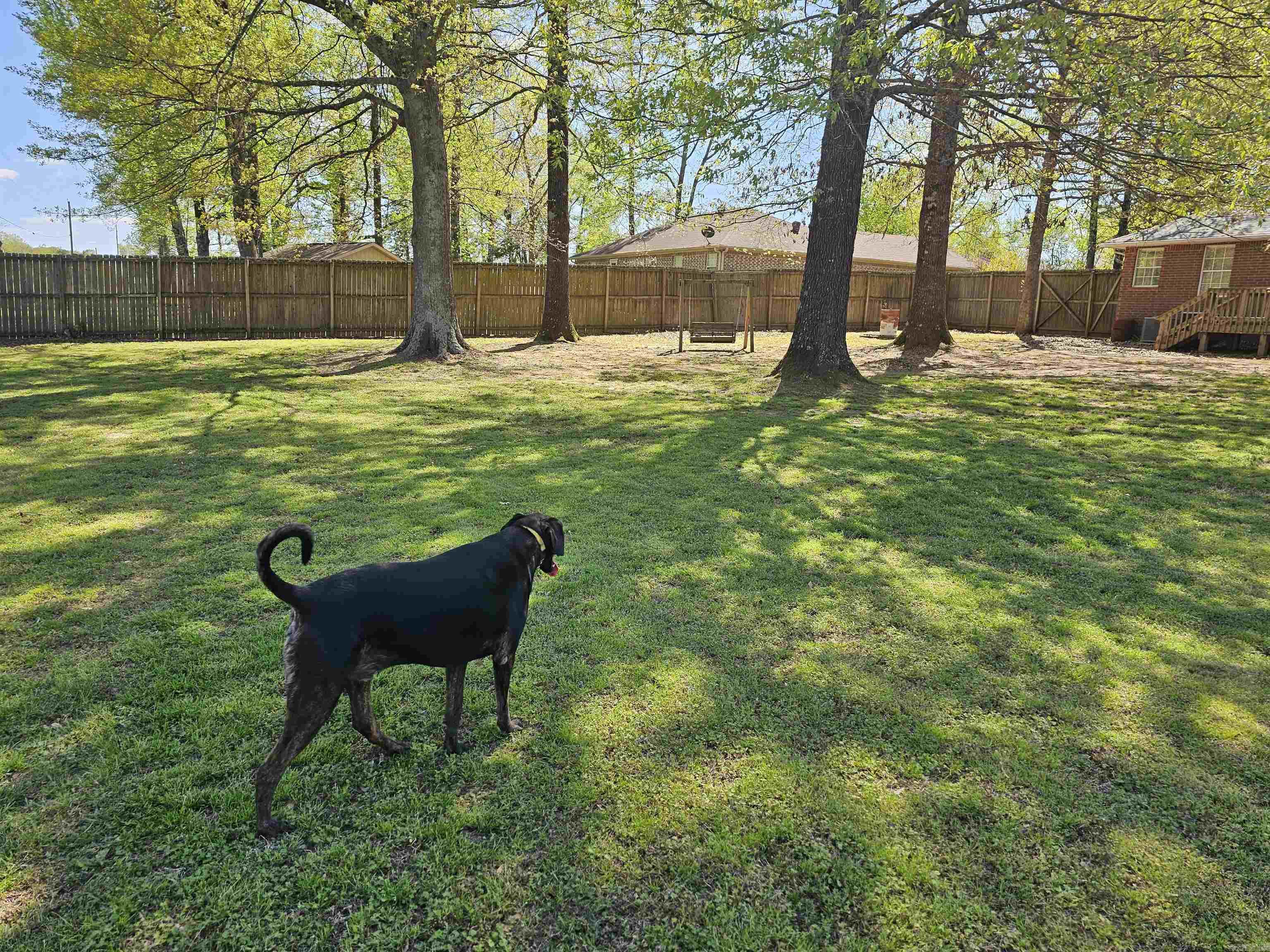 20  Mockingbird  Clarksville, AR