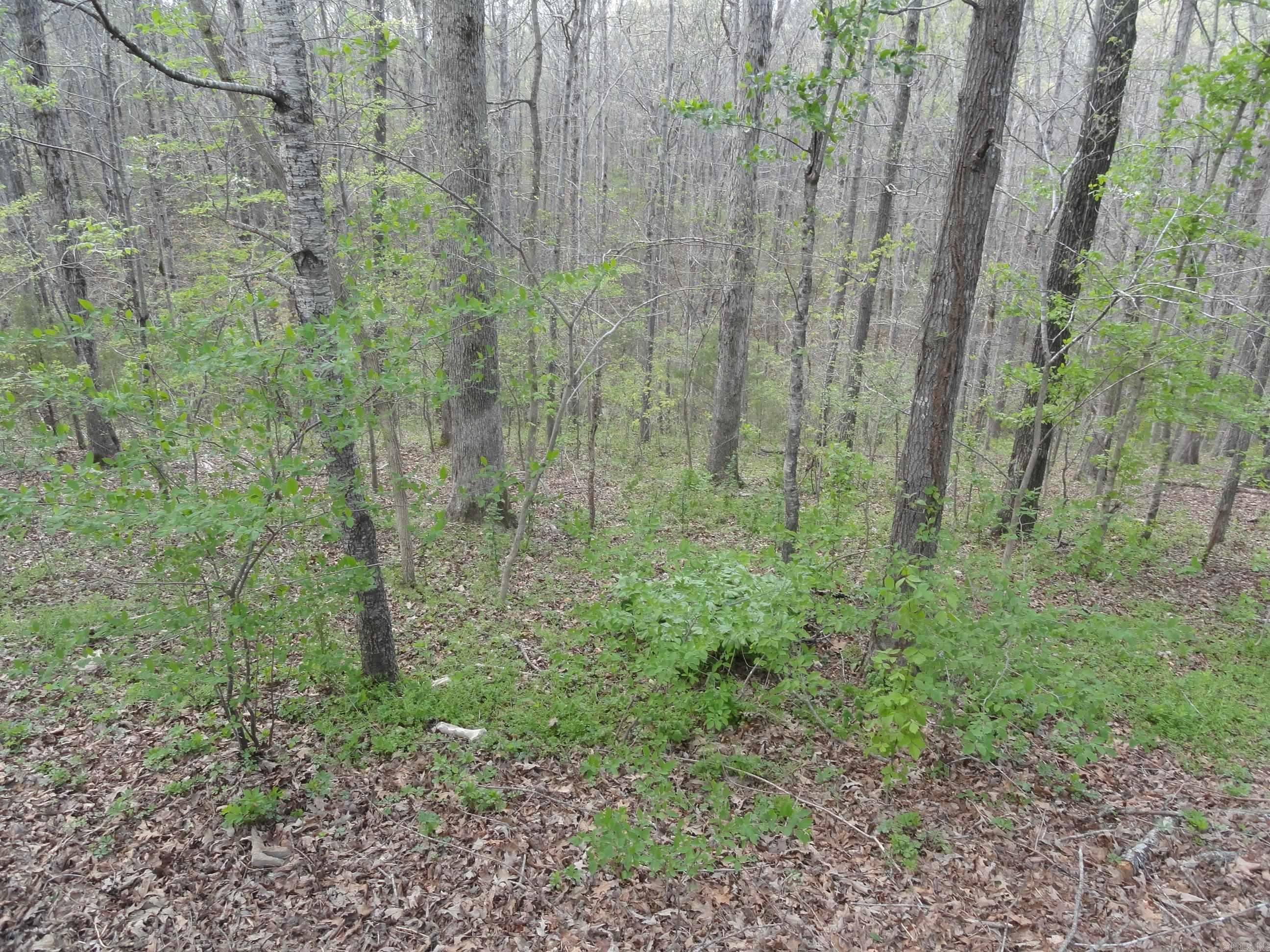 1730 Herpel Road Mountain View, AR 72560