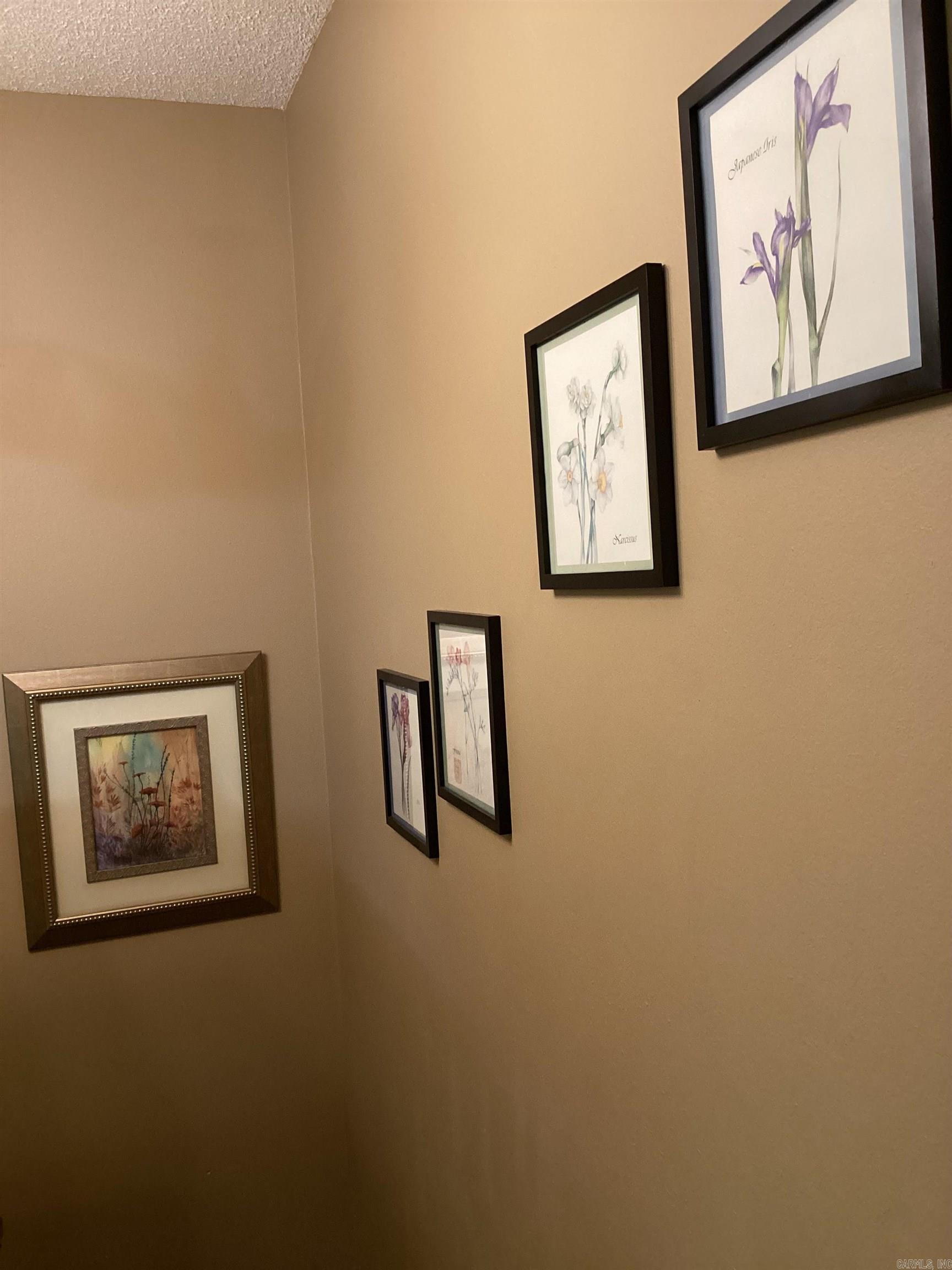18  Nacozari  Hot Springs Village, AR