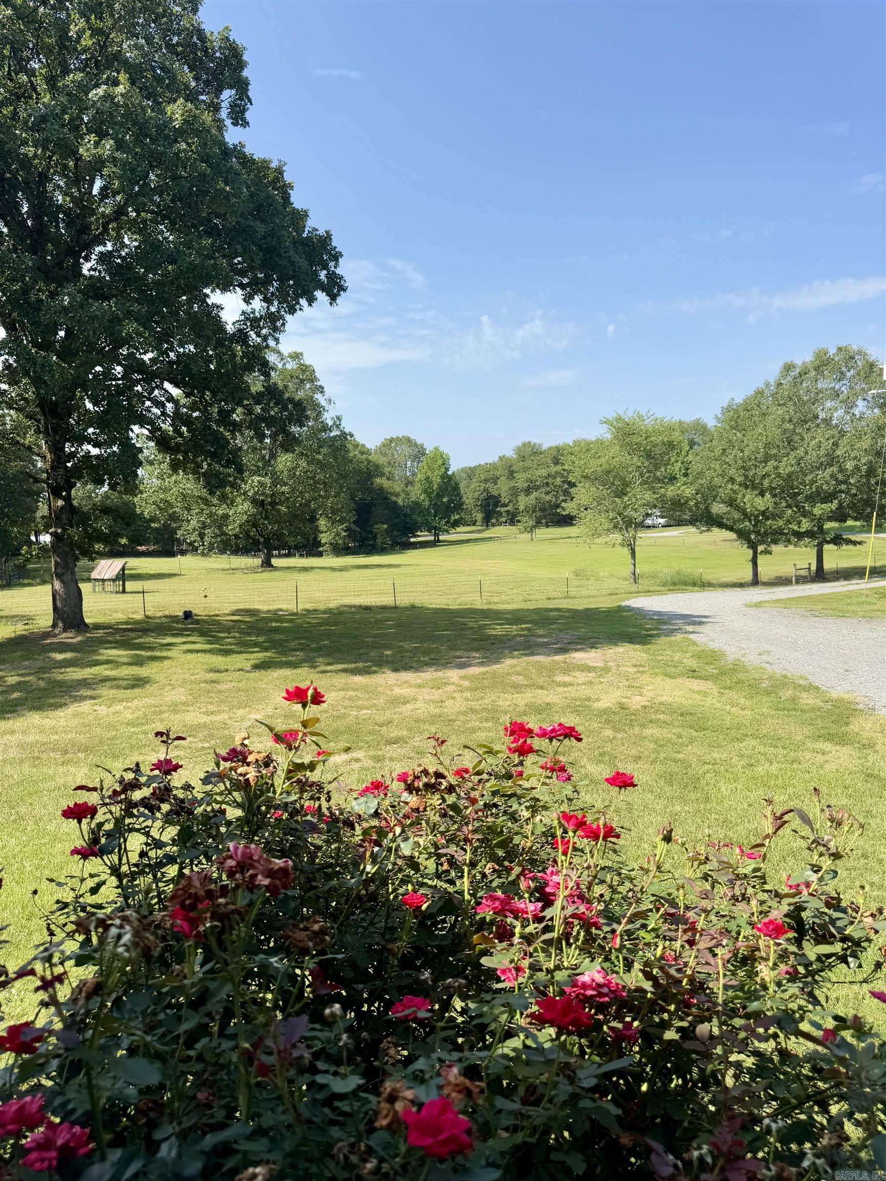 84 Flat Top Road Greenbrier, AR 72058