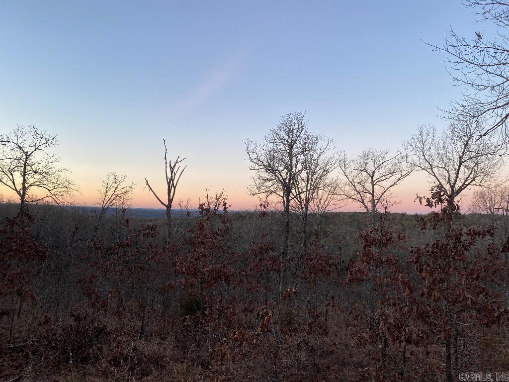 13523  Hwy 62 East  Henderson, AR