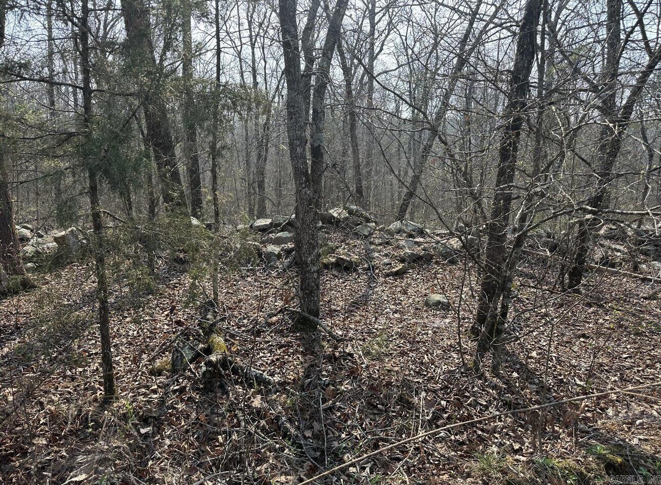   Cold Springs  Waldron, AR
