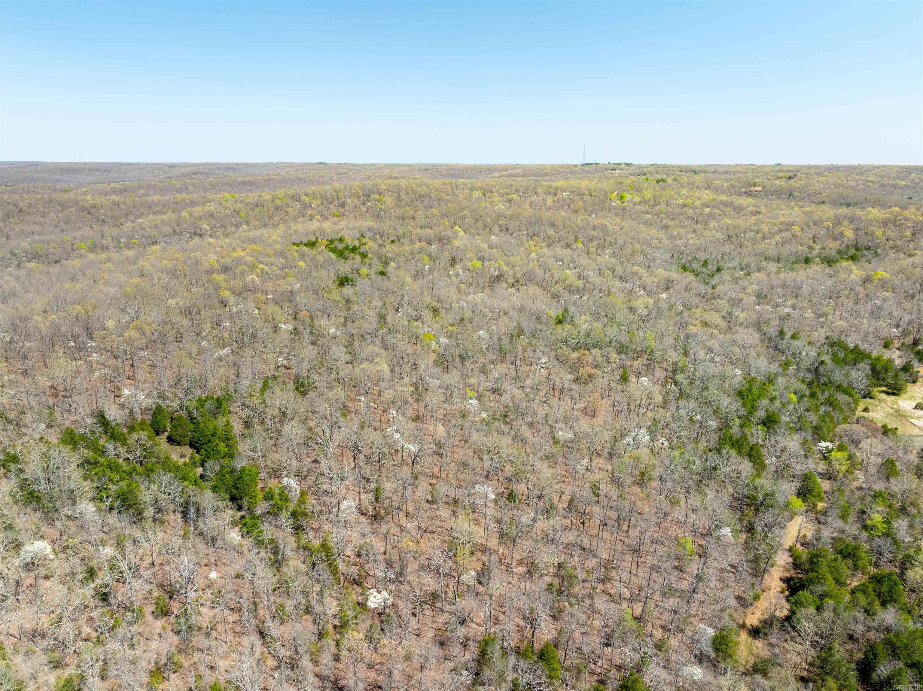   Timber Creek Trl  Hardy, AR