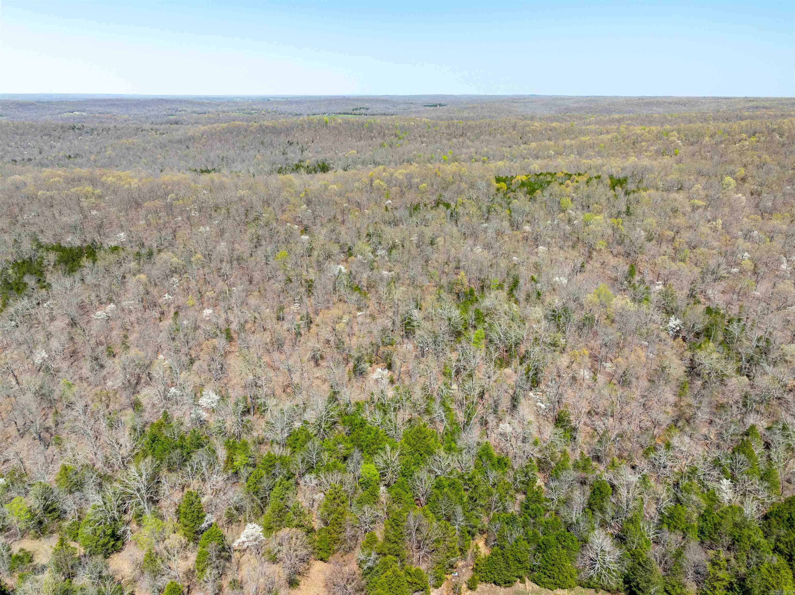   Timber Creek Trl  Hardy, AR