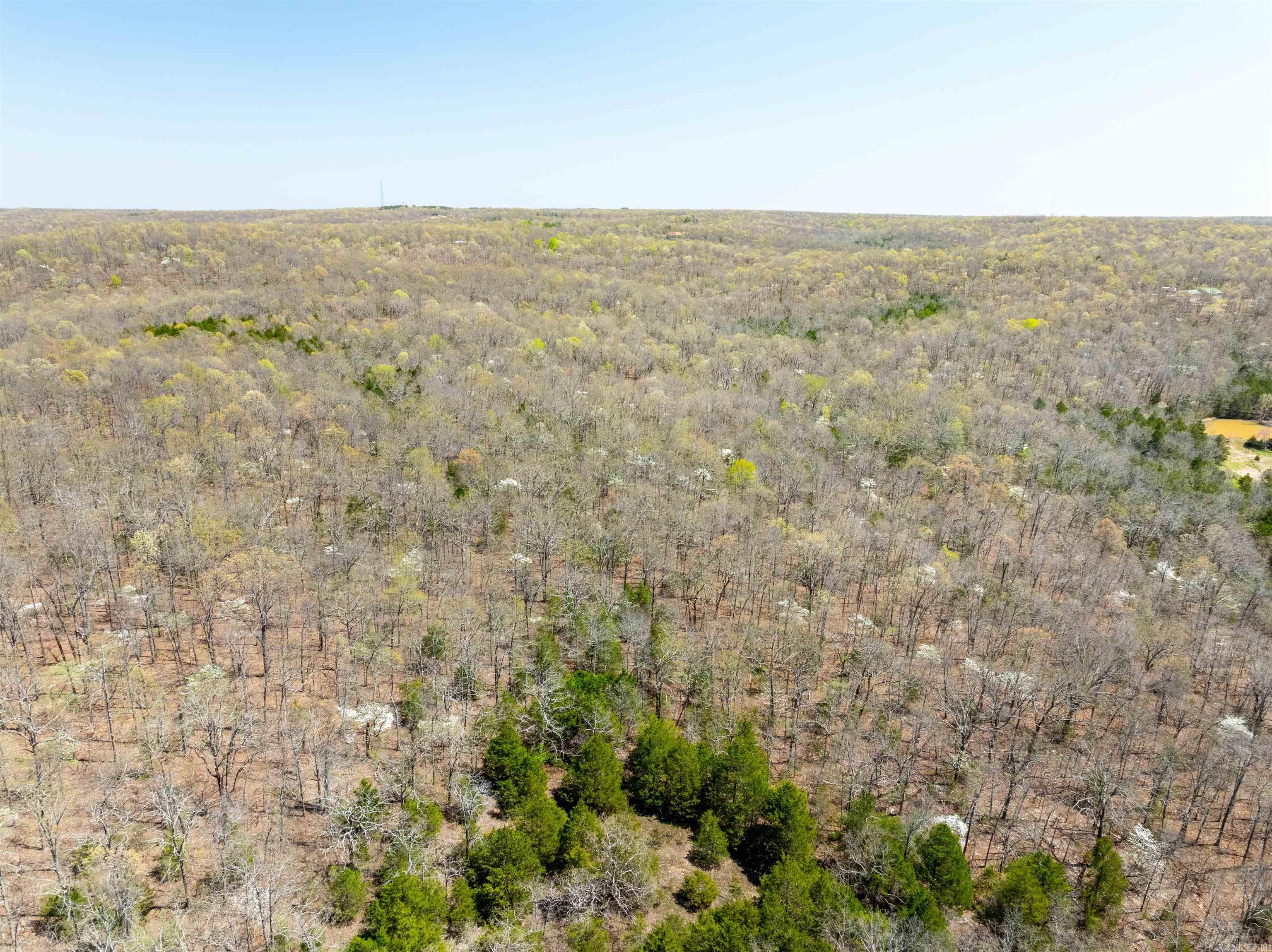   Timber Creek Trl  Hardy, AR