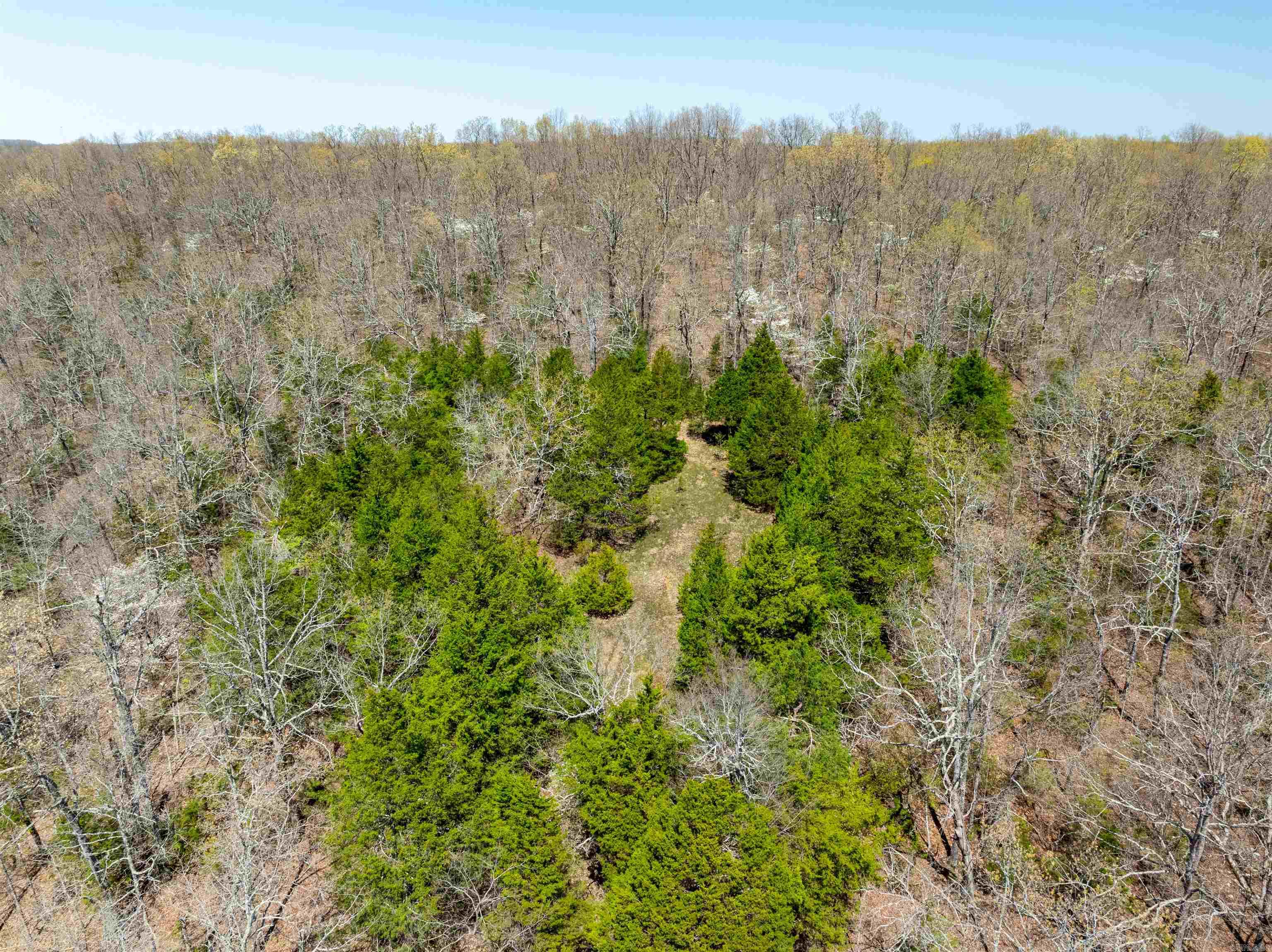   Timber Creek Trl  Hardy, AR