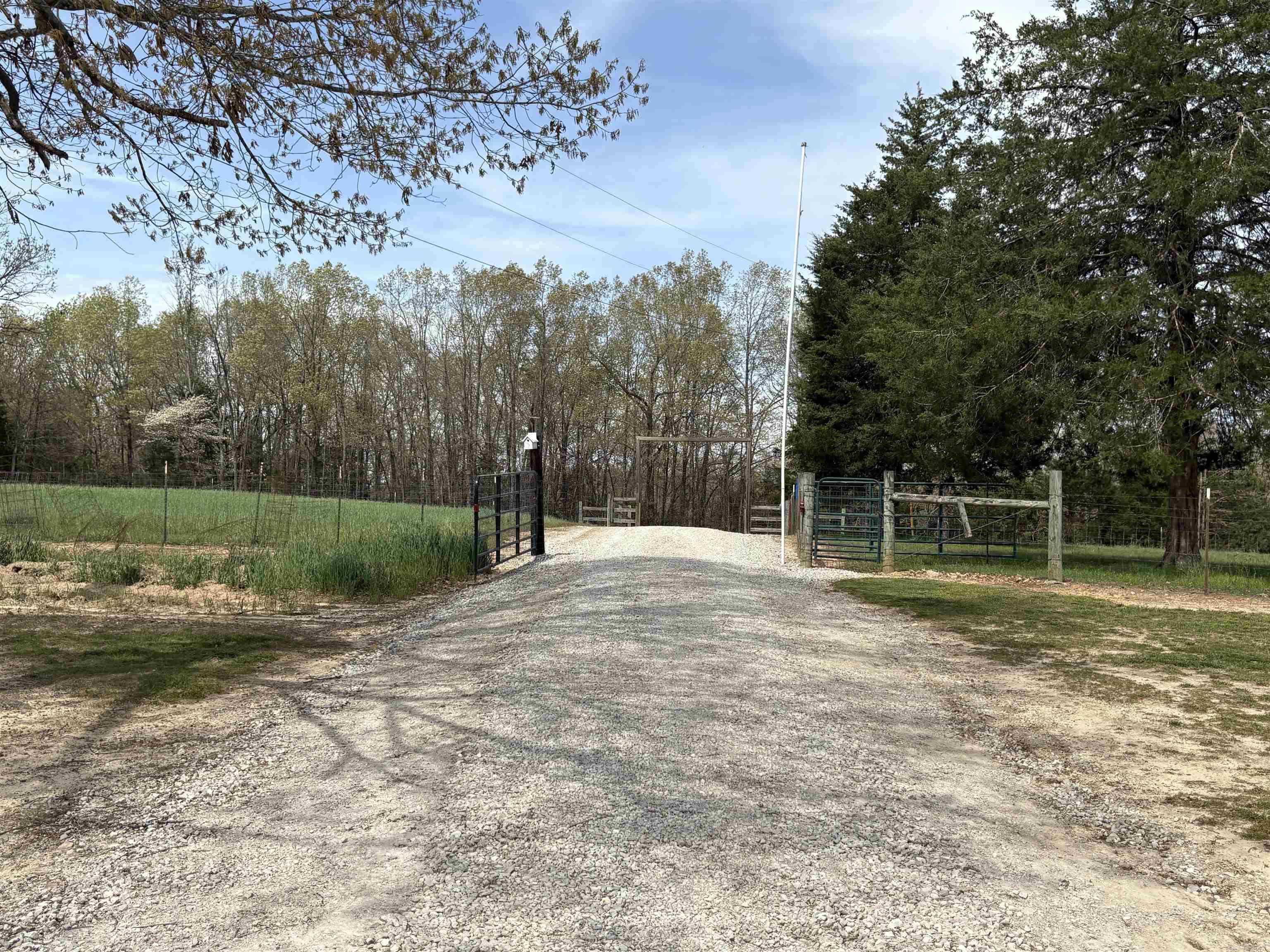 4431  Magnolia  Salem, AR