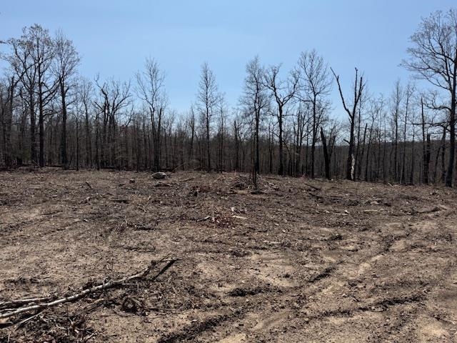 303  Mother Lode Drive  Horseshoe Bend, AR