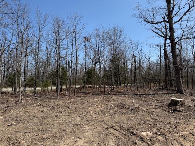 303  Mother Lode Drive  Horseshoe Bend, AR