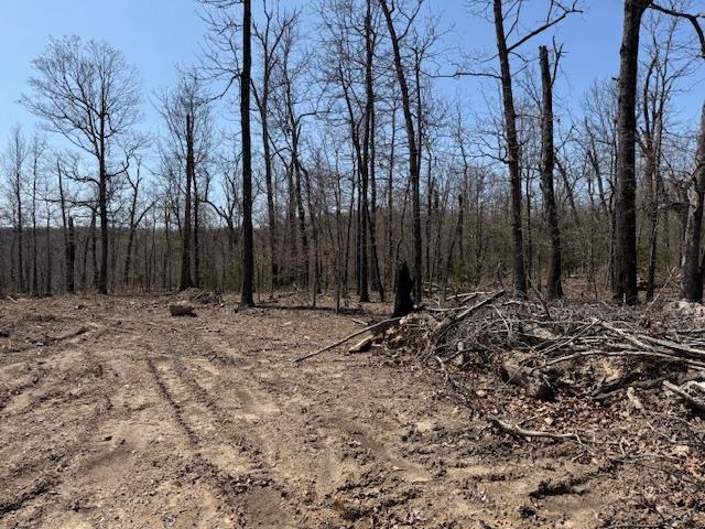 303  Mother Lode Drive  Horseshoe Bend, AR