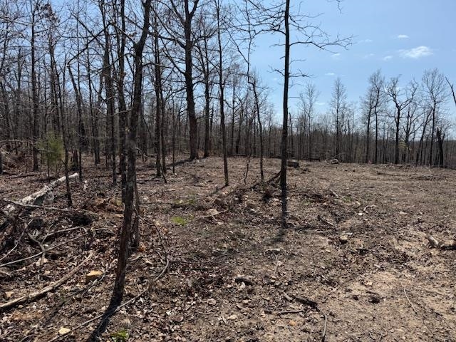 303  Mother Lode Drive  Horseshoe Bend, AR