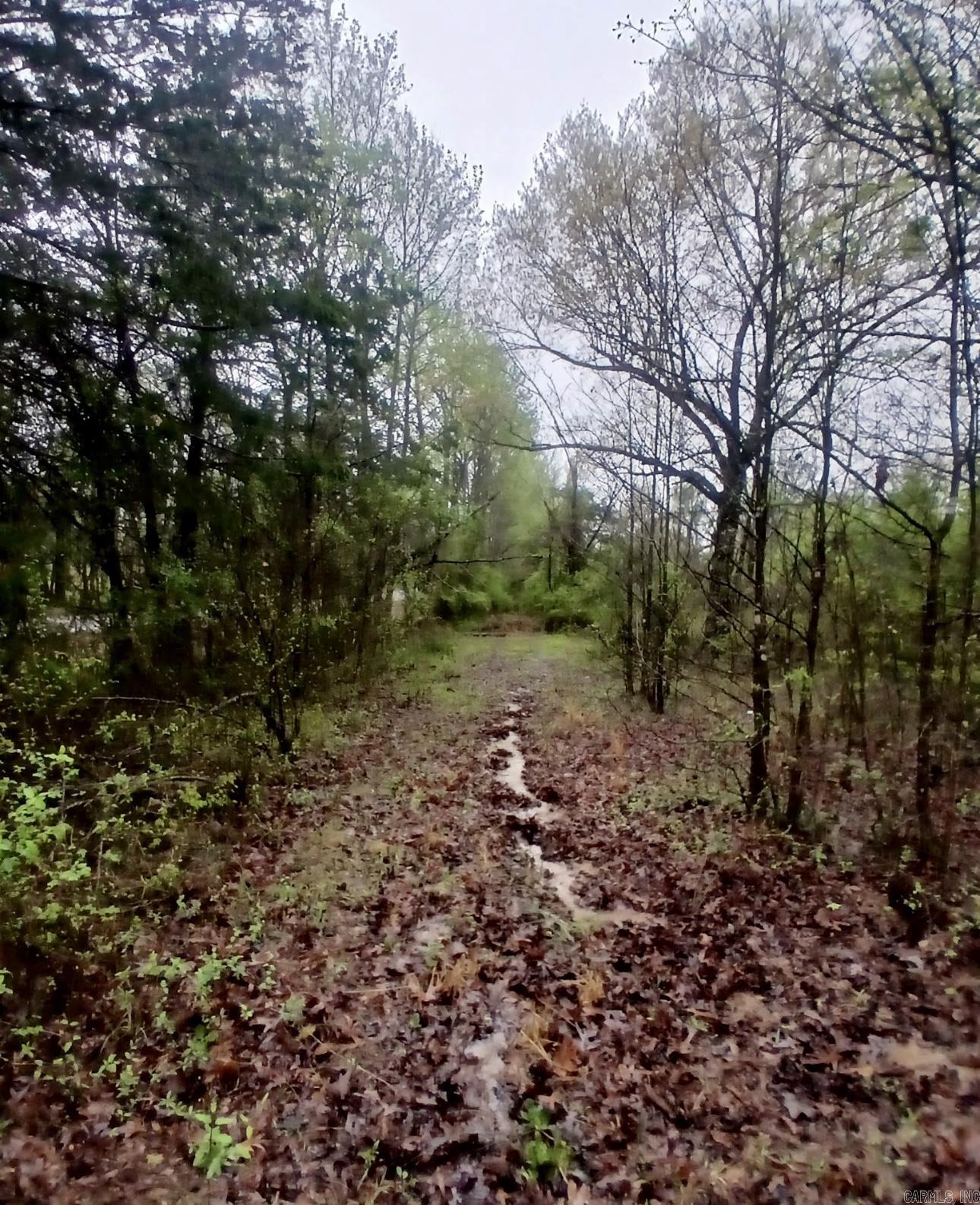 00  Shiloh  Greers Ferry, AR