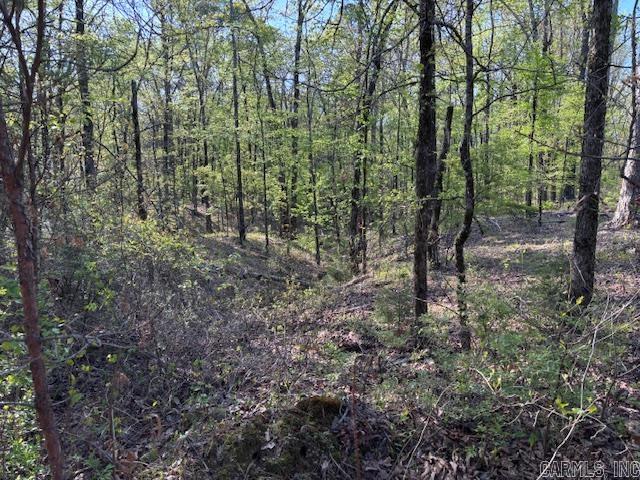 0  Grant County Rd 291020  Prattsville, AR
