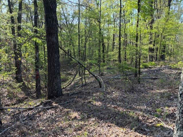 0  Grant County Rd 291020  Prattsville, AR