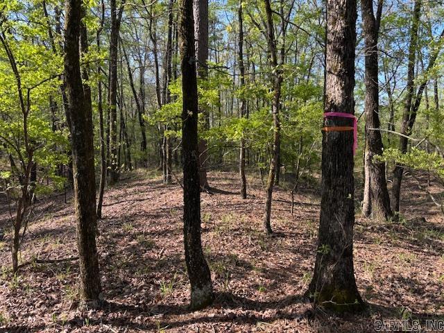 0  Grant County Rd 291020  Prattsville, AR