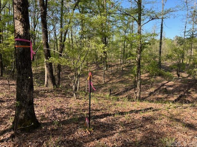 0  Grant County Rd 291020  Prattsville, AR
