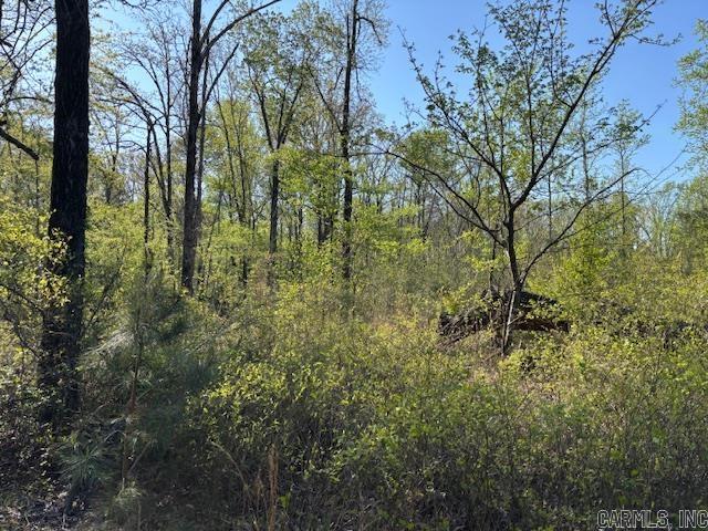 0  Grant County Rd 291020  Prattsville, AR
