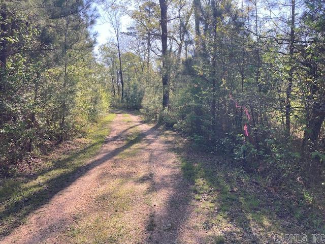 0  Grant County Rd 291020  Prattsville, AR