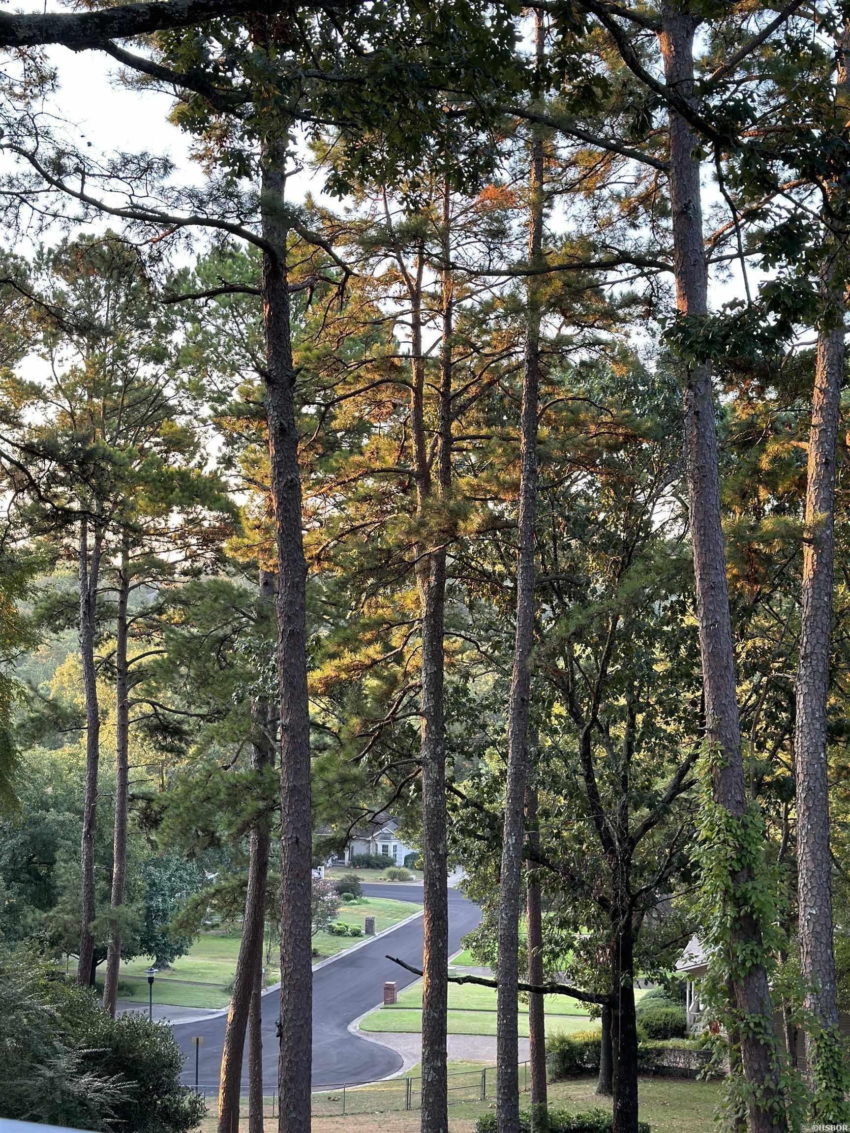 204  Whispering Hills  Hot Springs, AR