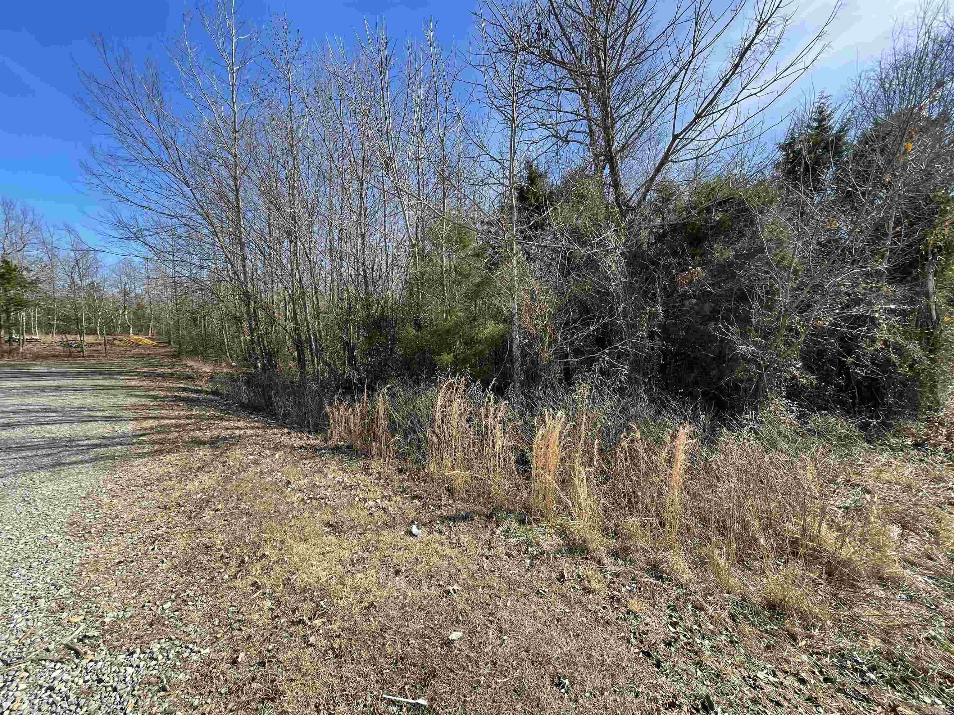 75 Fox Chase Rd. Greers Ferry, AR 72067
