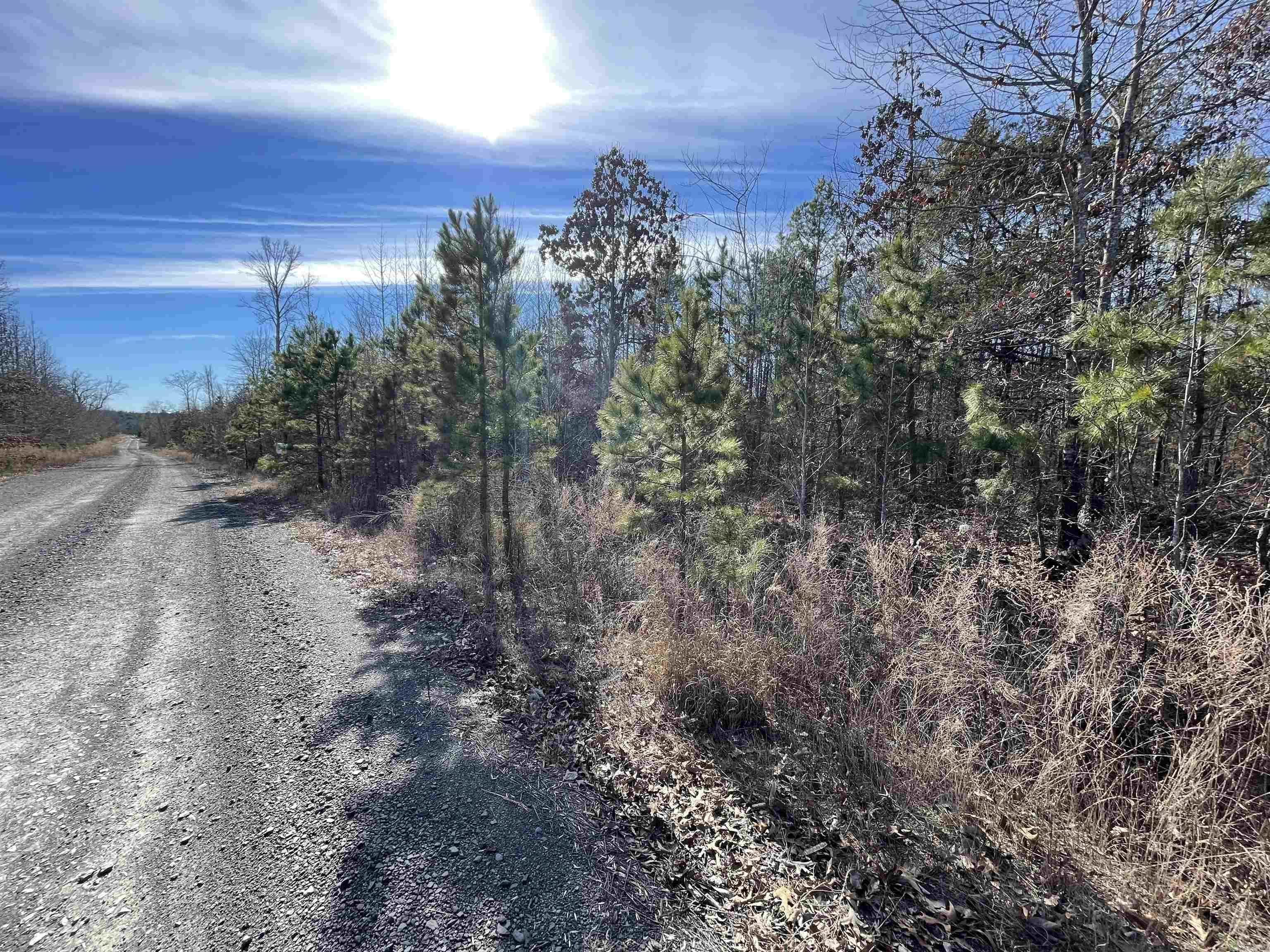75 Fox Chase Rd. Greers Ferry, AR 72067