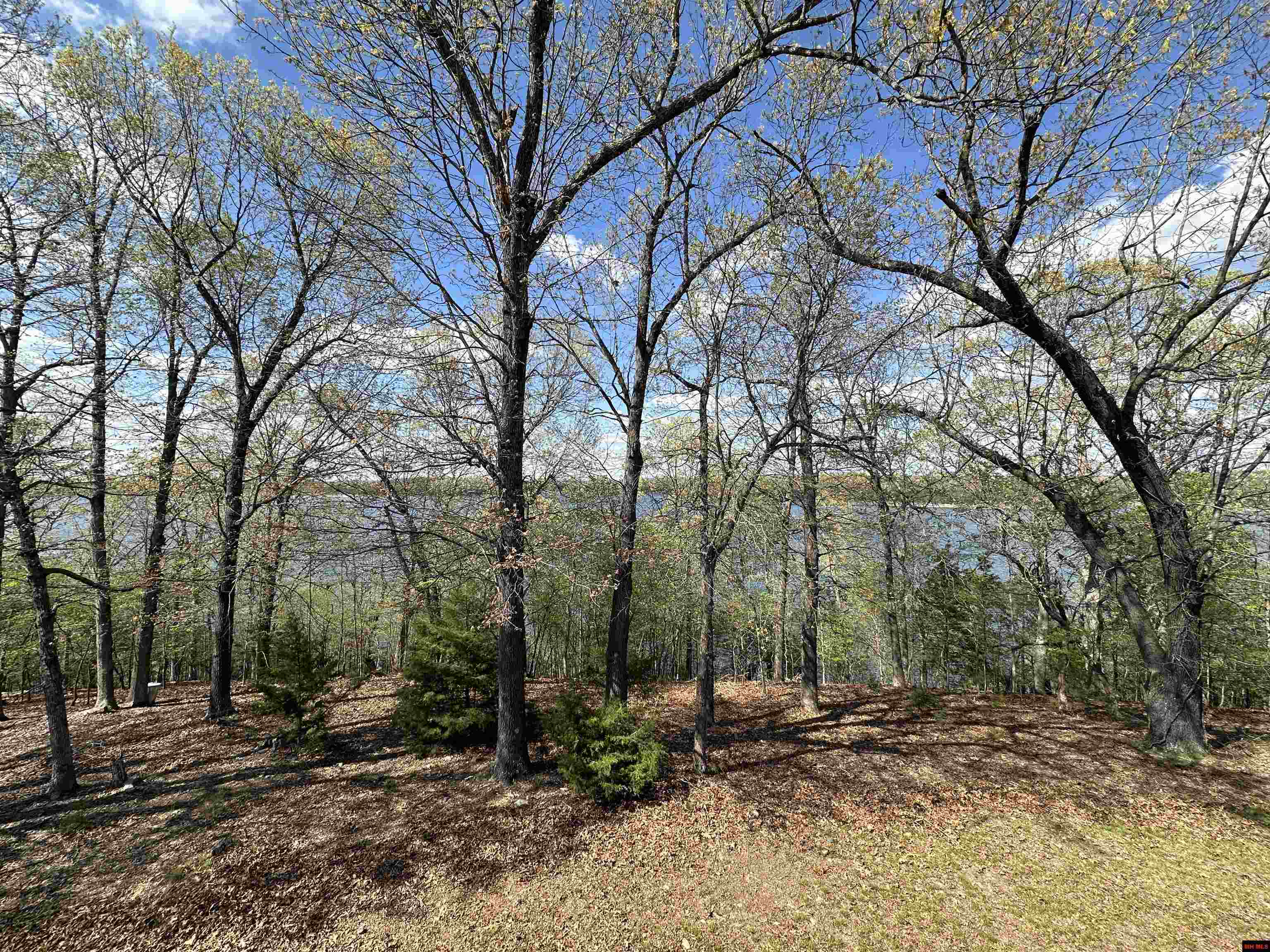 13534  MC 8001  Yellville, AR