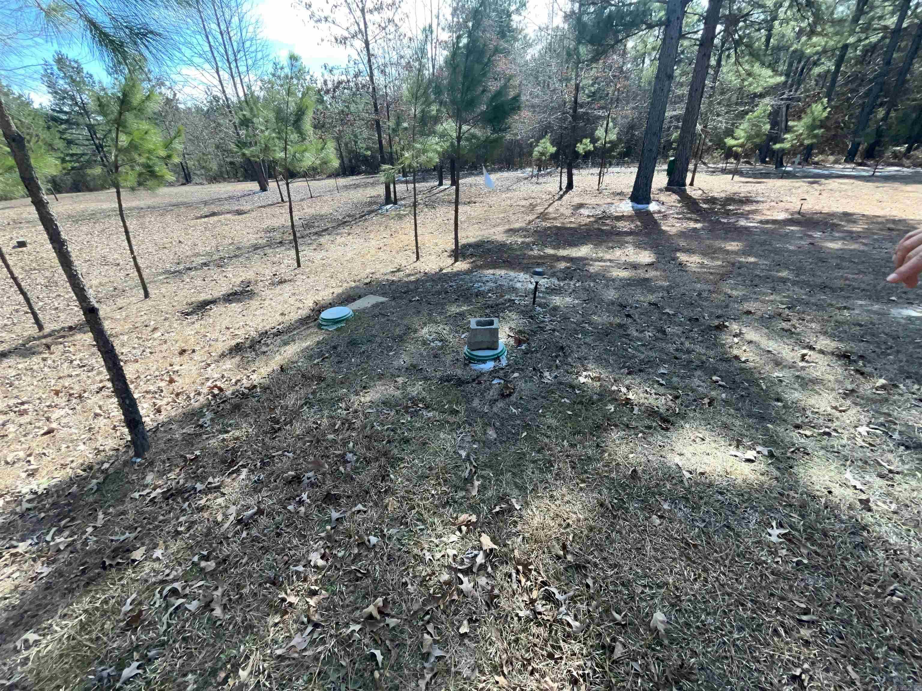 7155  Jericho  Pine Bluff, AR