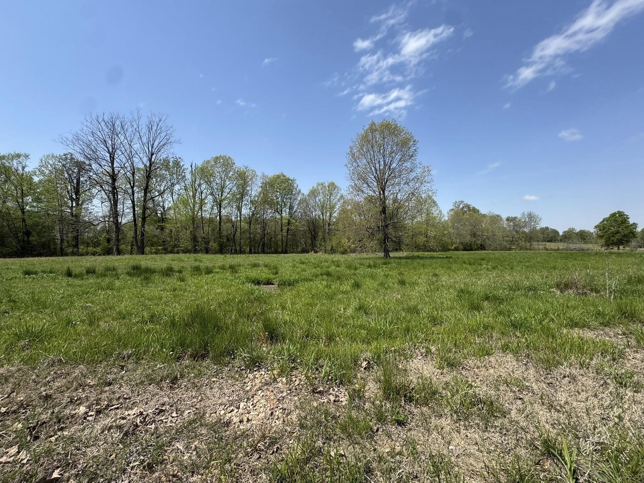 5.38 AC  Highway 135 N  Paragould, AR