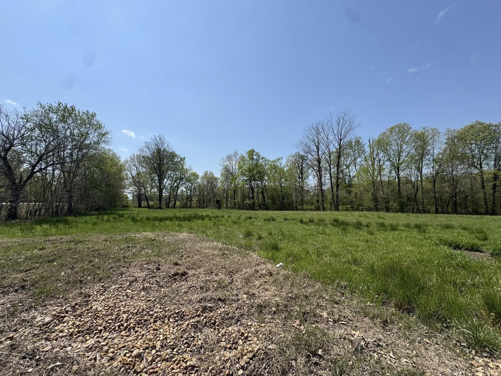 5.38 AC  Highway 135 N  Paragould, AR