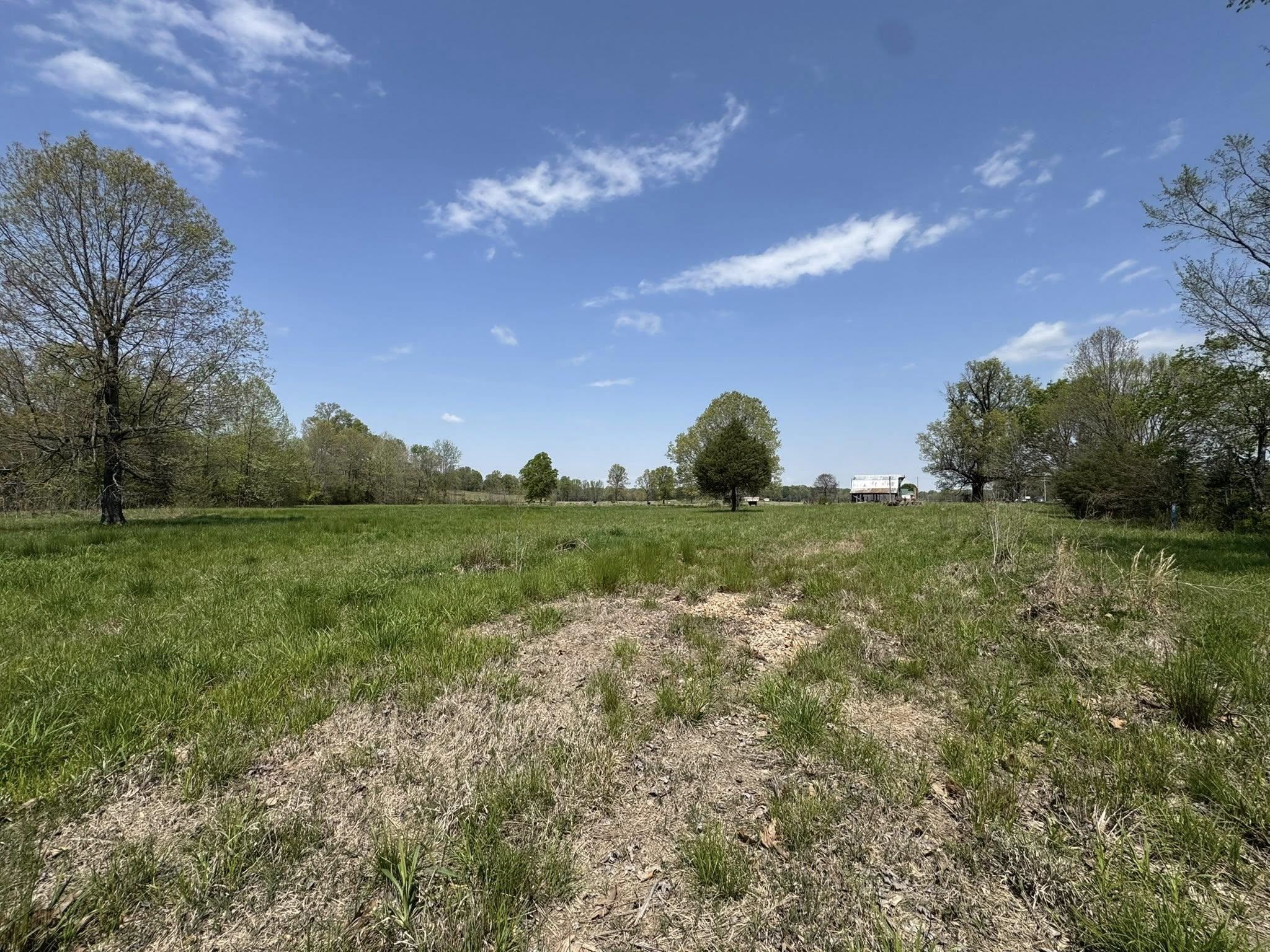 5.38 AC  Highway 135 N  Paragould, AR