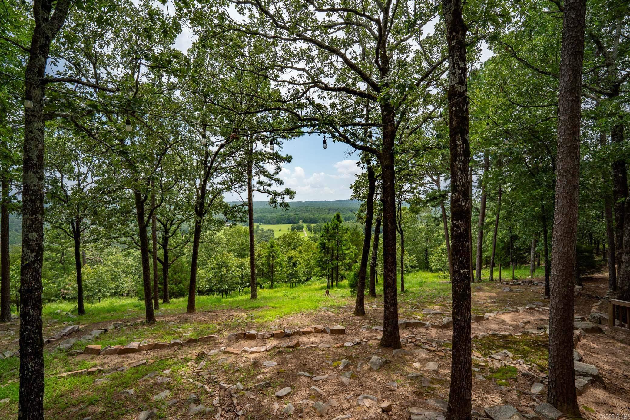 4135 Zachary Trail Conway, AR 72032