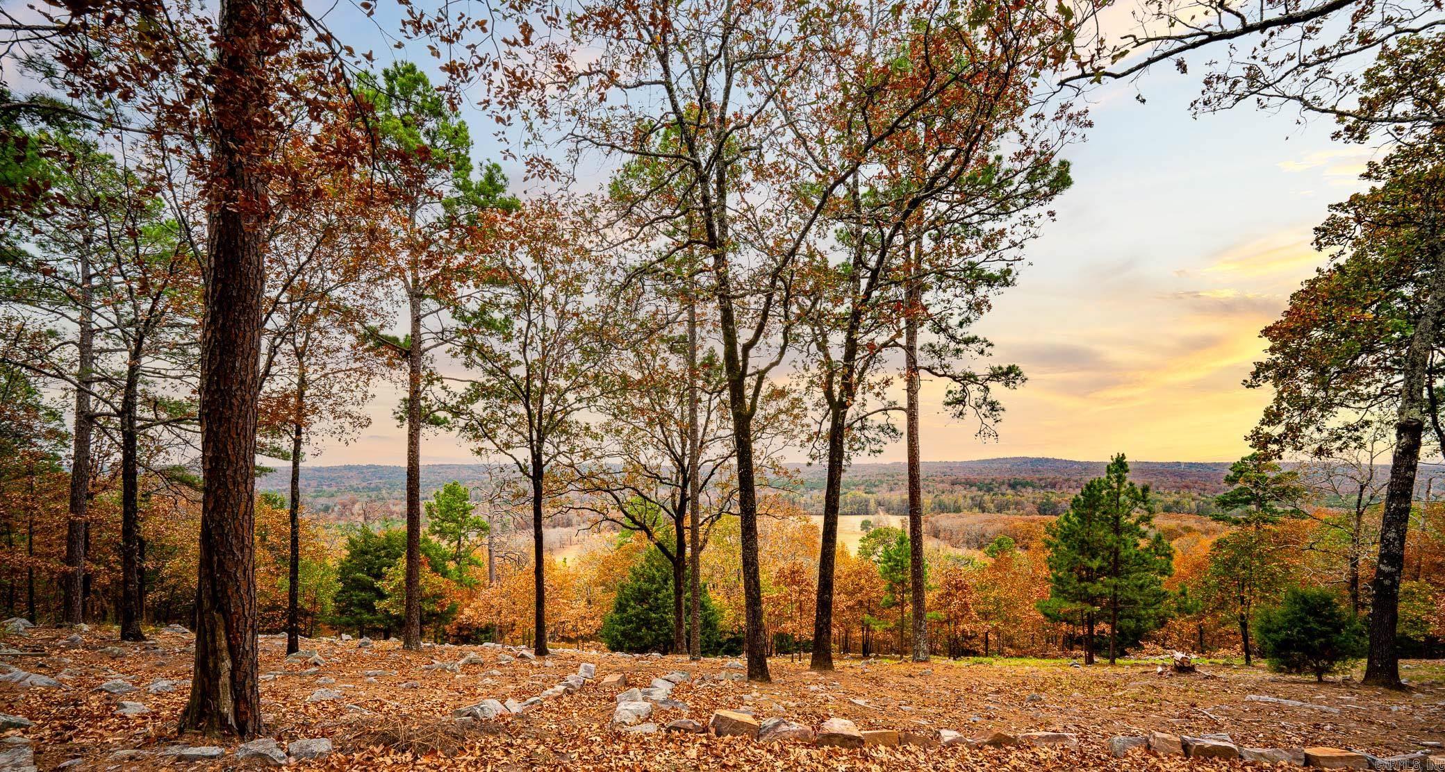 4135  Zachary Trail  Conway, AR