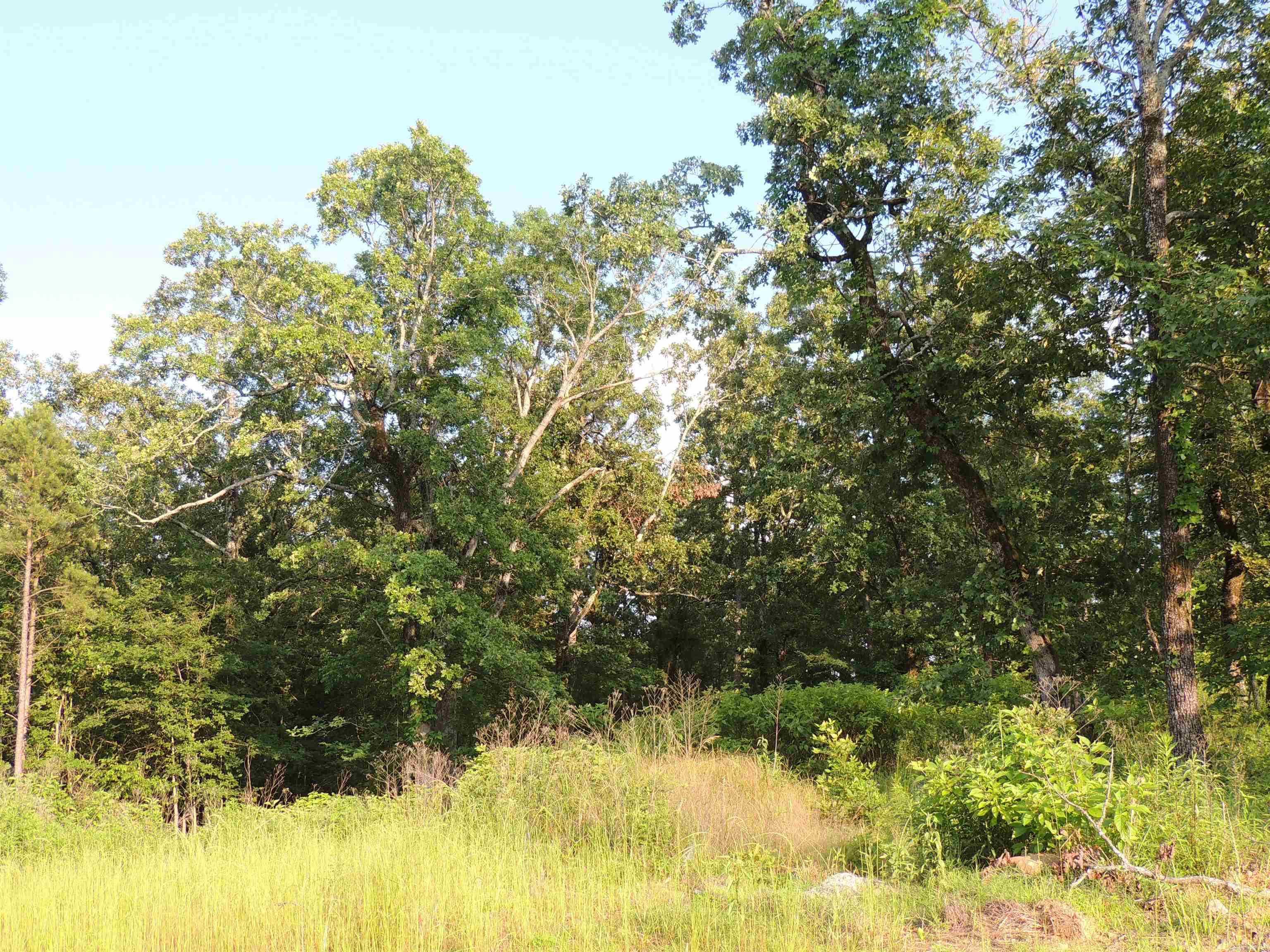Lot 84  Summit View Lane  Maumelle, AR