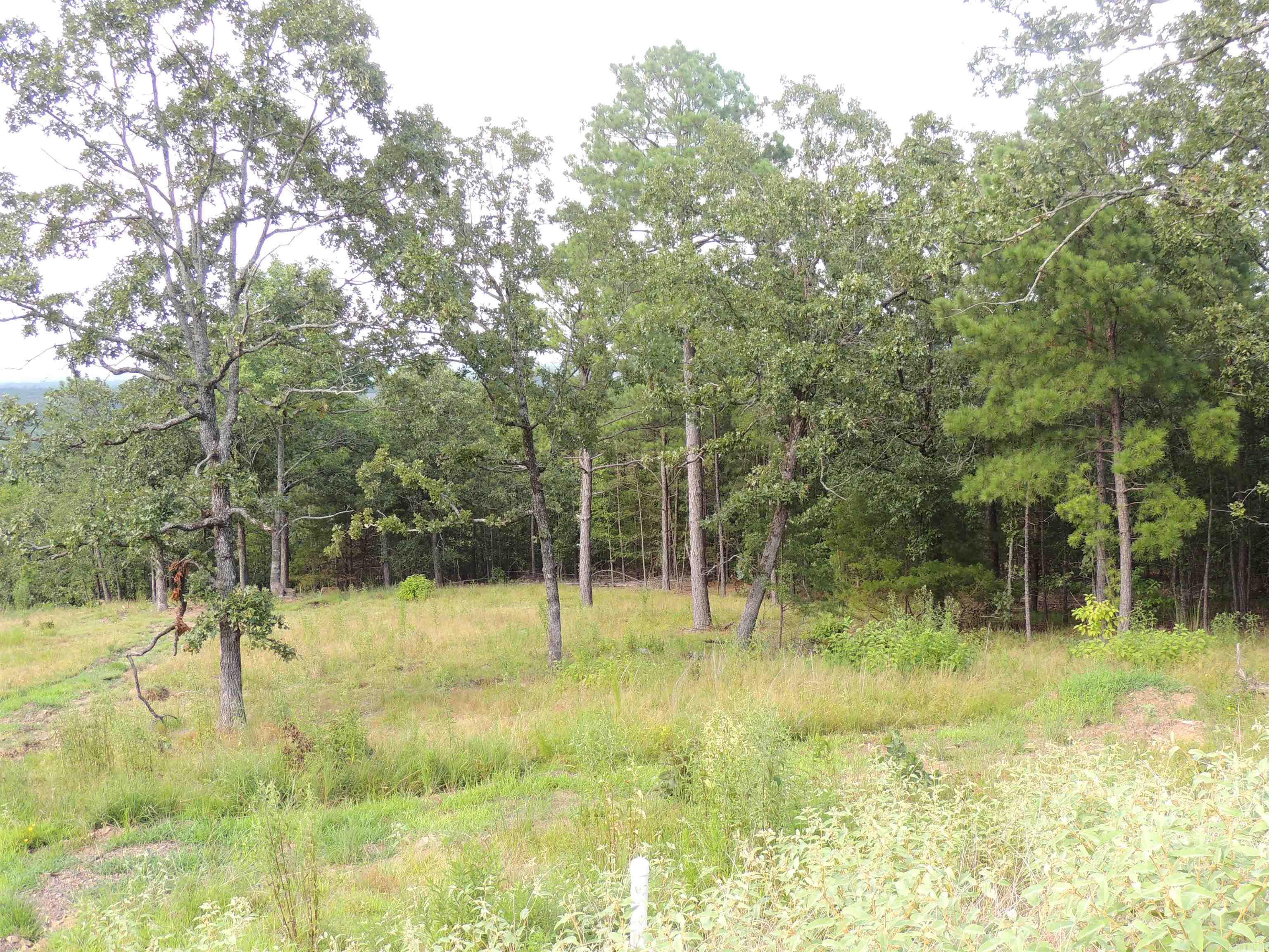 Lot 84  Summit View Lane  Maumelle, AR