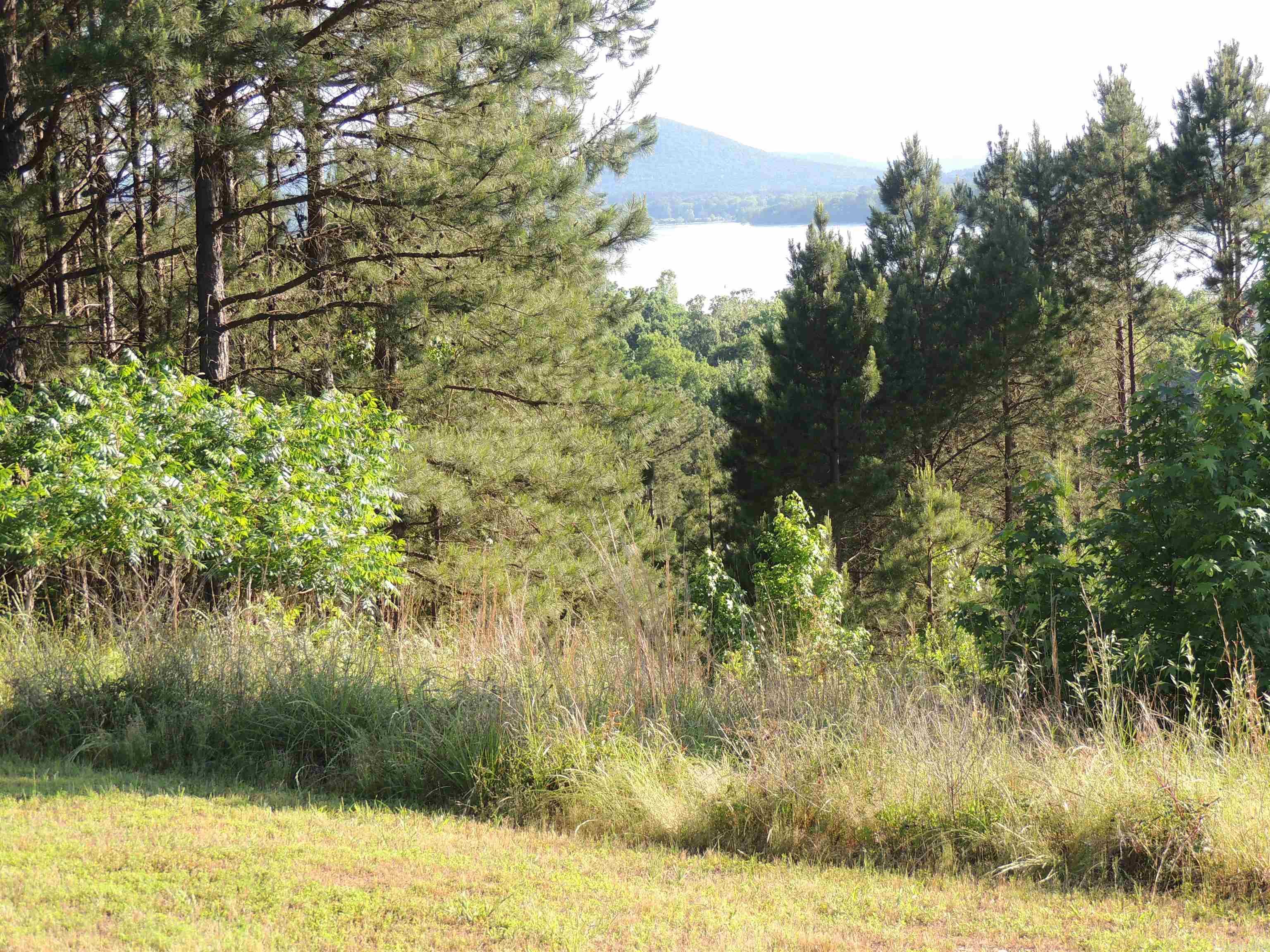 15309  Mountain View Dr Lot 39 Maumelle, AR