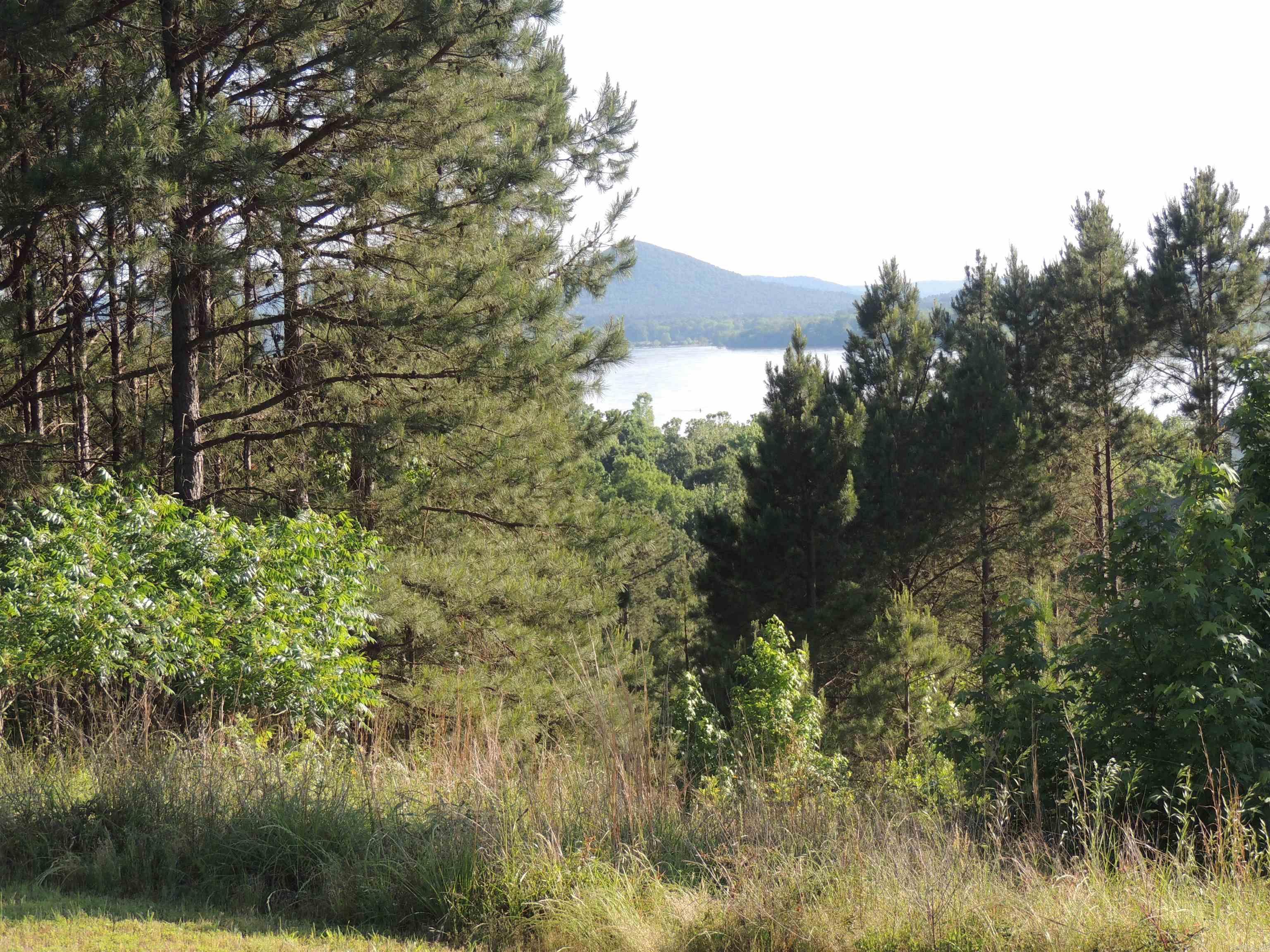 15309  Mountain View Dr Lot 39 Maumelle, AR