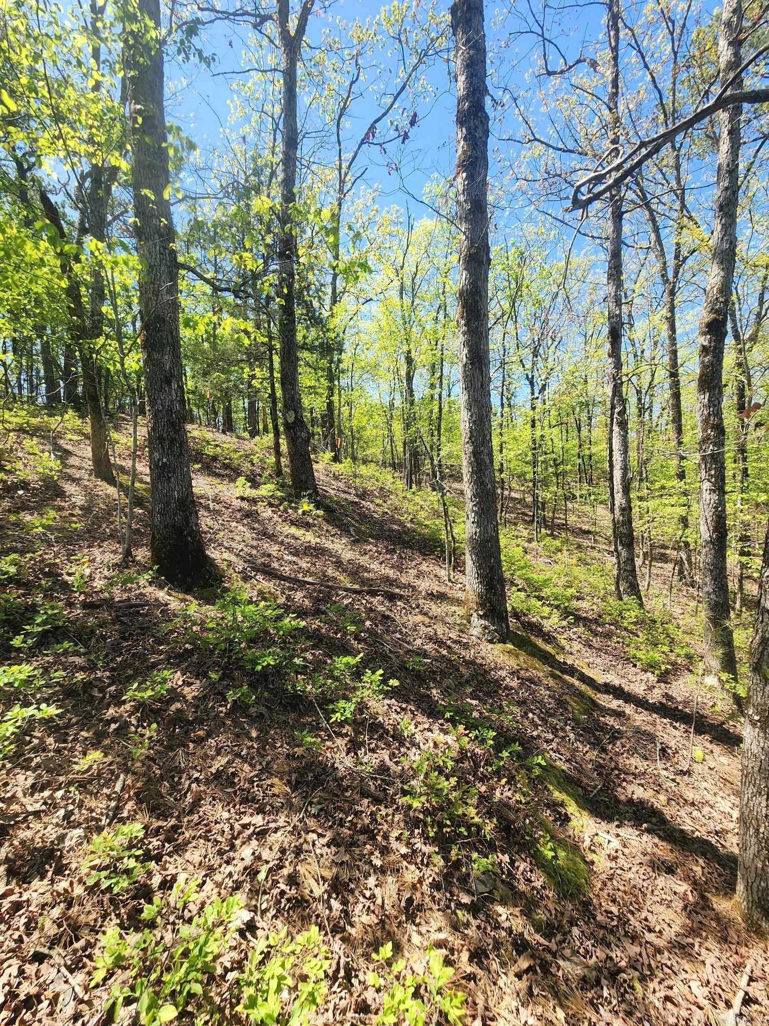 Lots 76-78  Red Oak Drive  Mena, AR