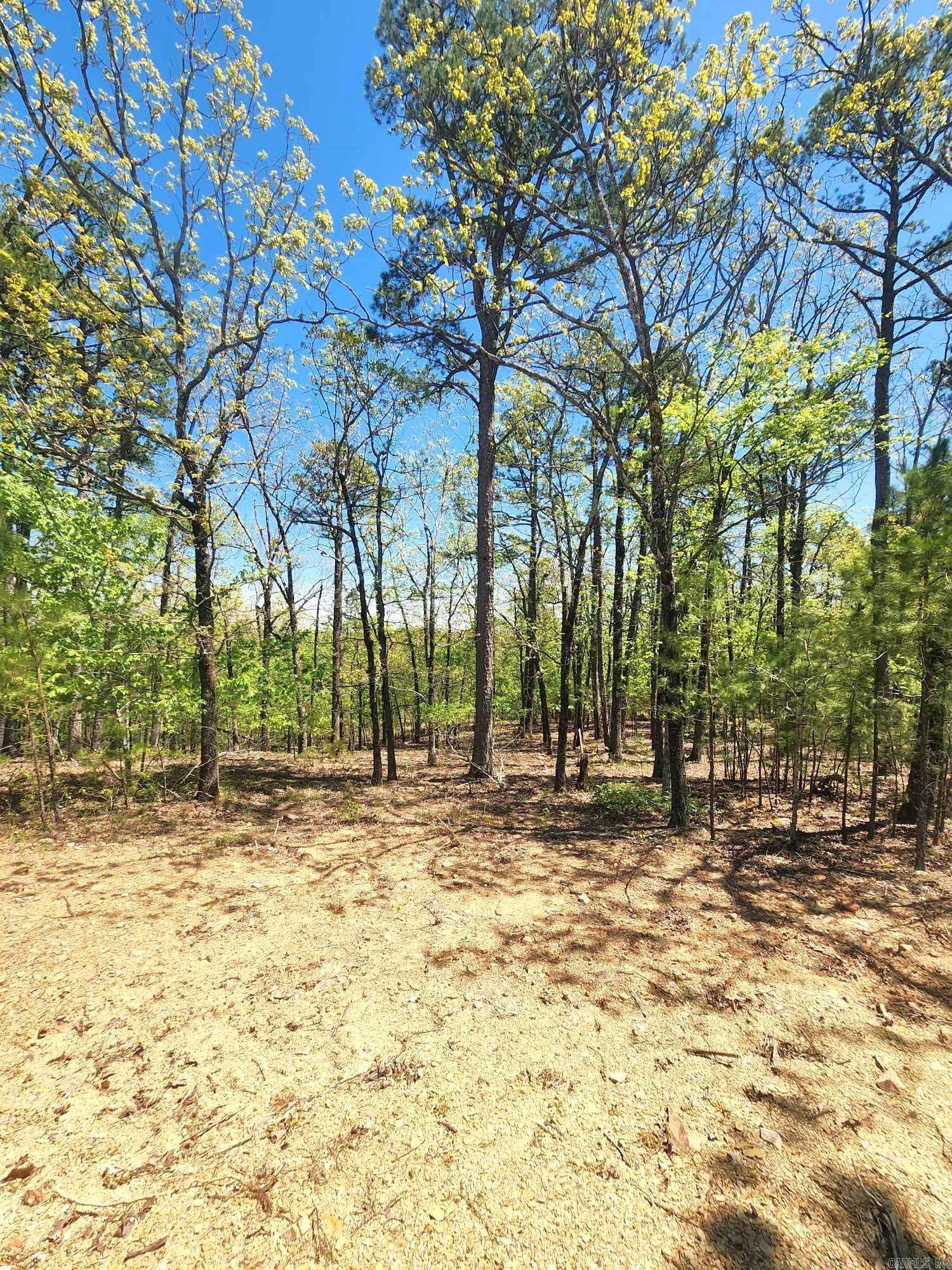 Lots 76-78  Red Oak Drive  Mena, AR