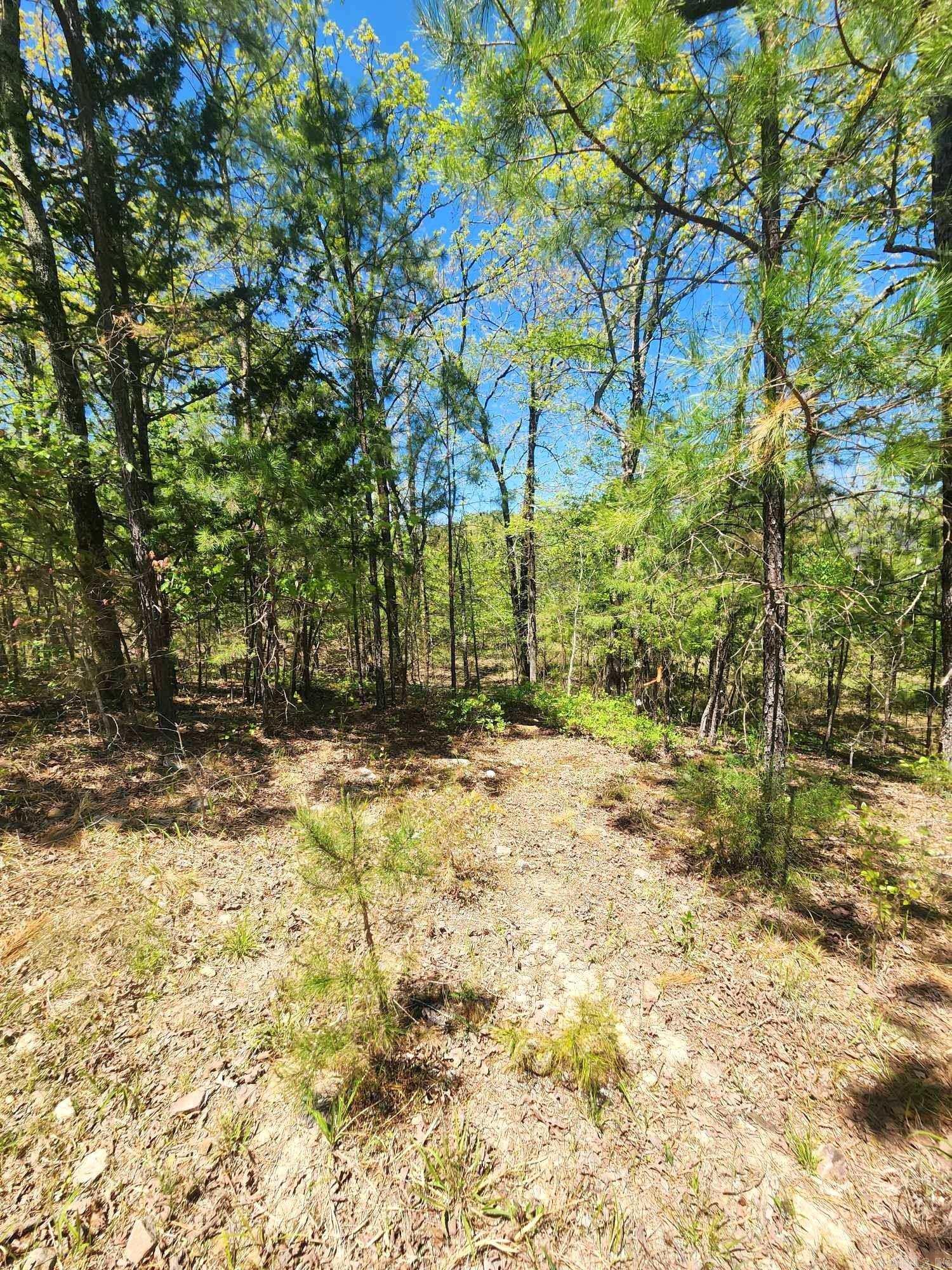 Lots 76-78  Red Oak Drive  Mena, AR