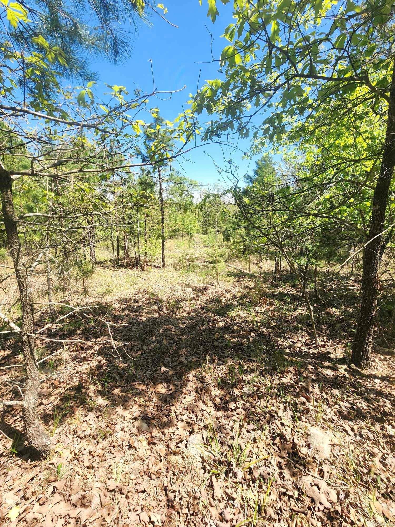 Lots 76-78  Red Oak Drive  Mena, AR