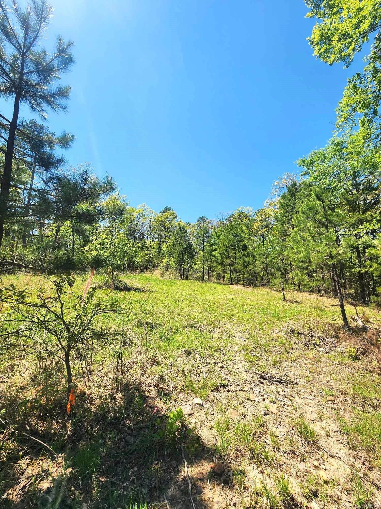 Lots 76-78  Red Oak Drive  Mena, AR